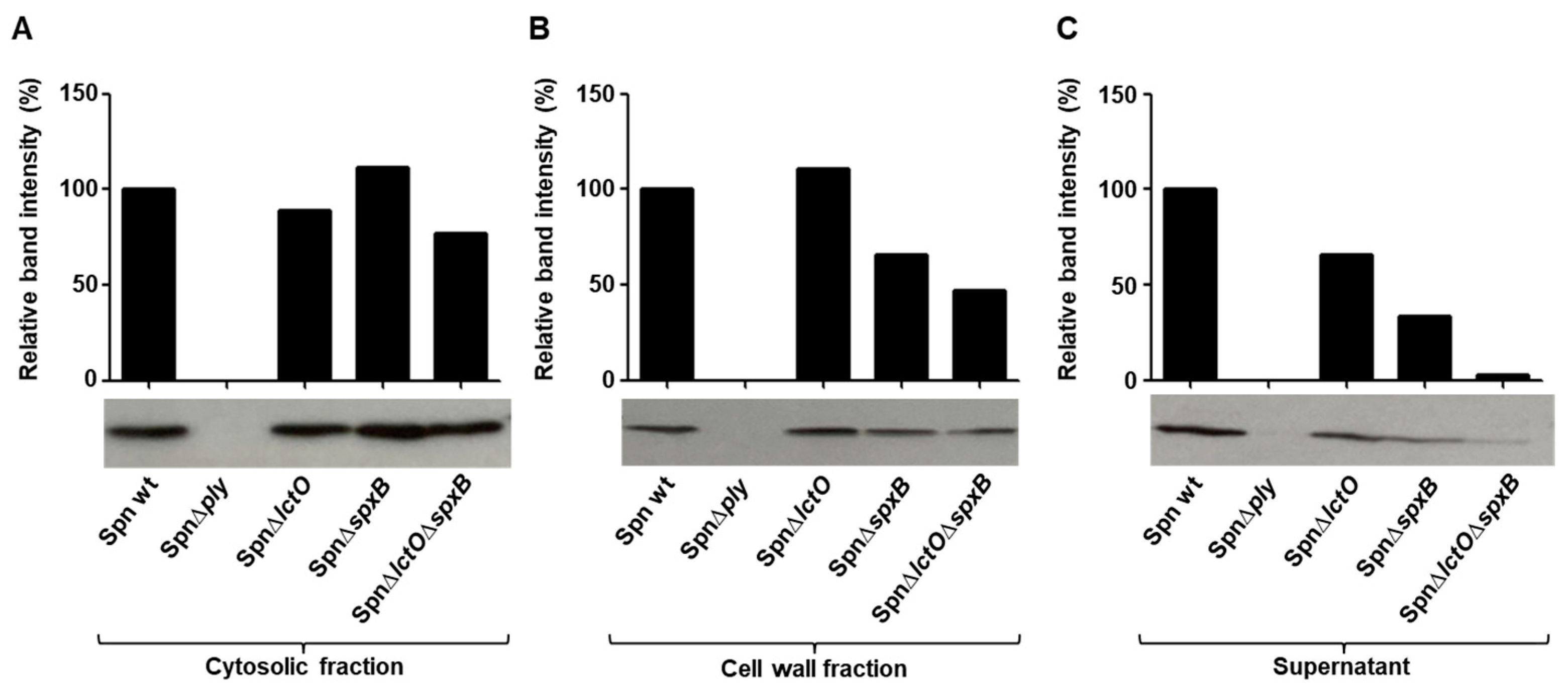 Toxins 15 00593 g004
