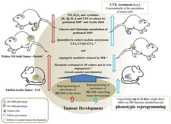 Toxins | Free Full-Text | Crotoxin Modulates Macrophage Phenotypic