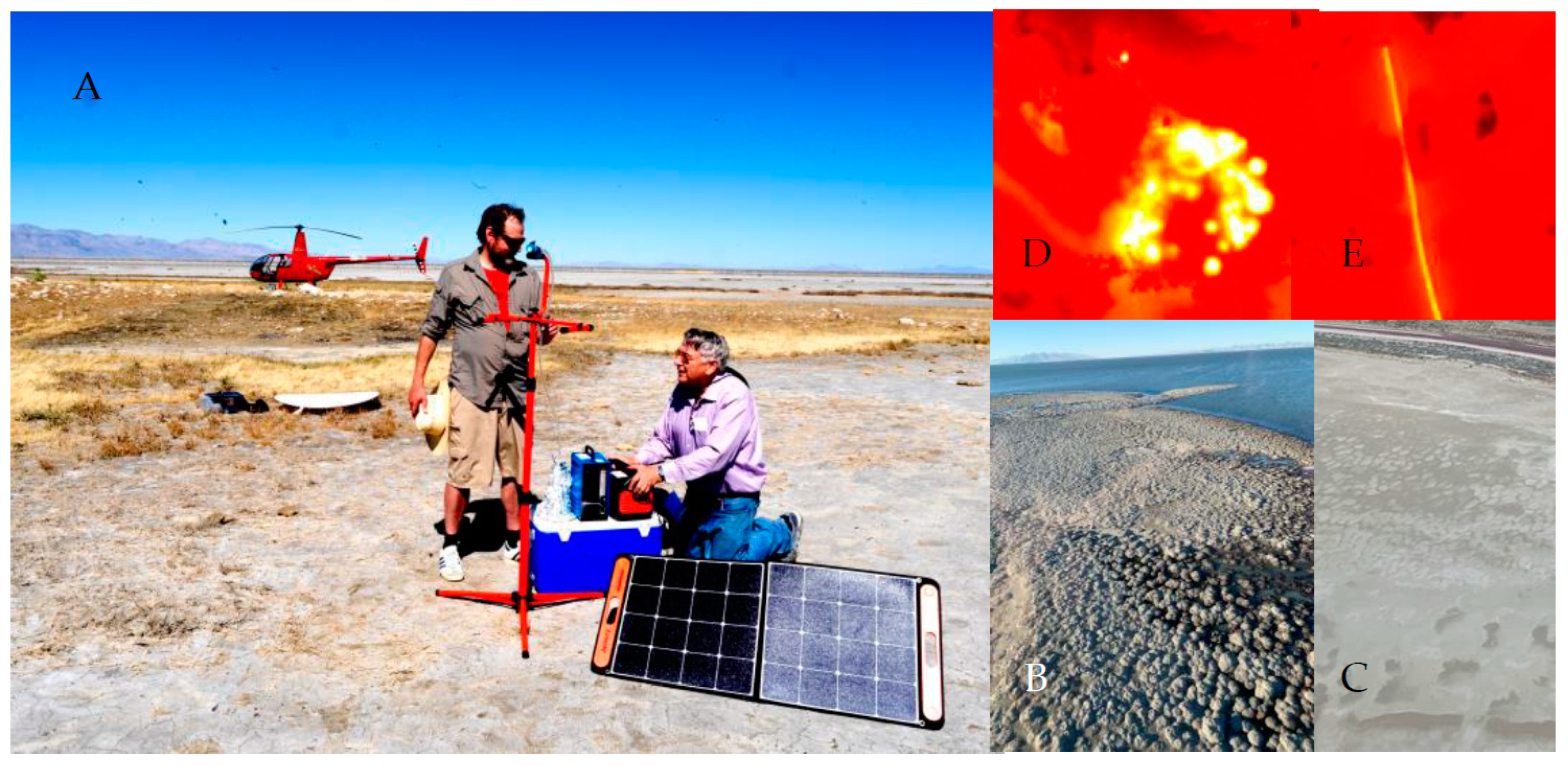 Toxins 15 00659 g001