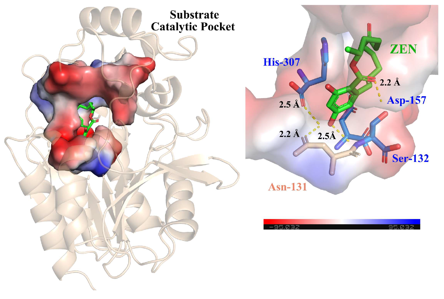 Toxins 15 00688 g004