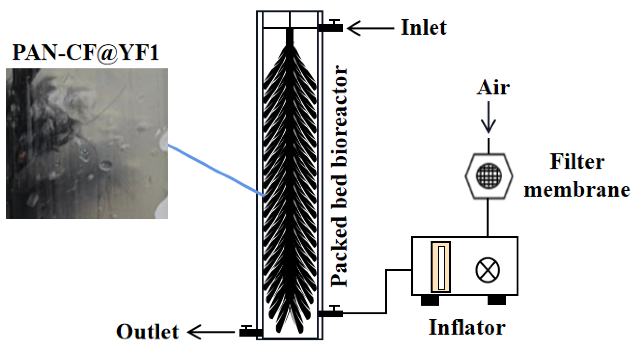 Toxins 16 00020 g008
