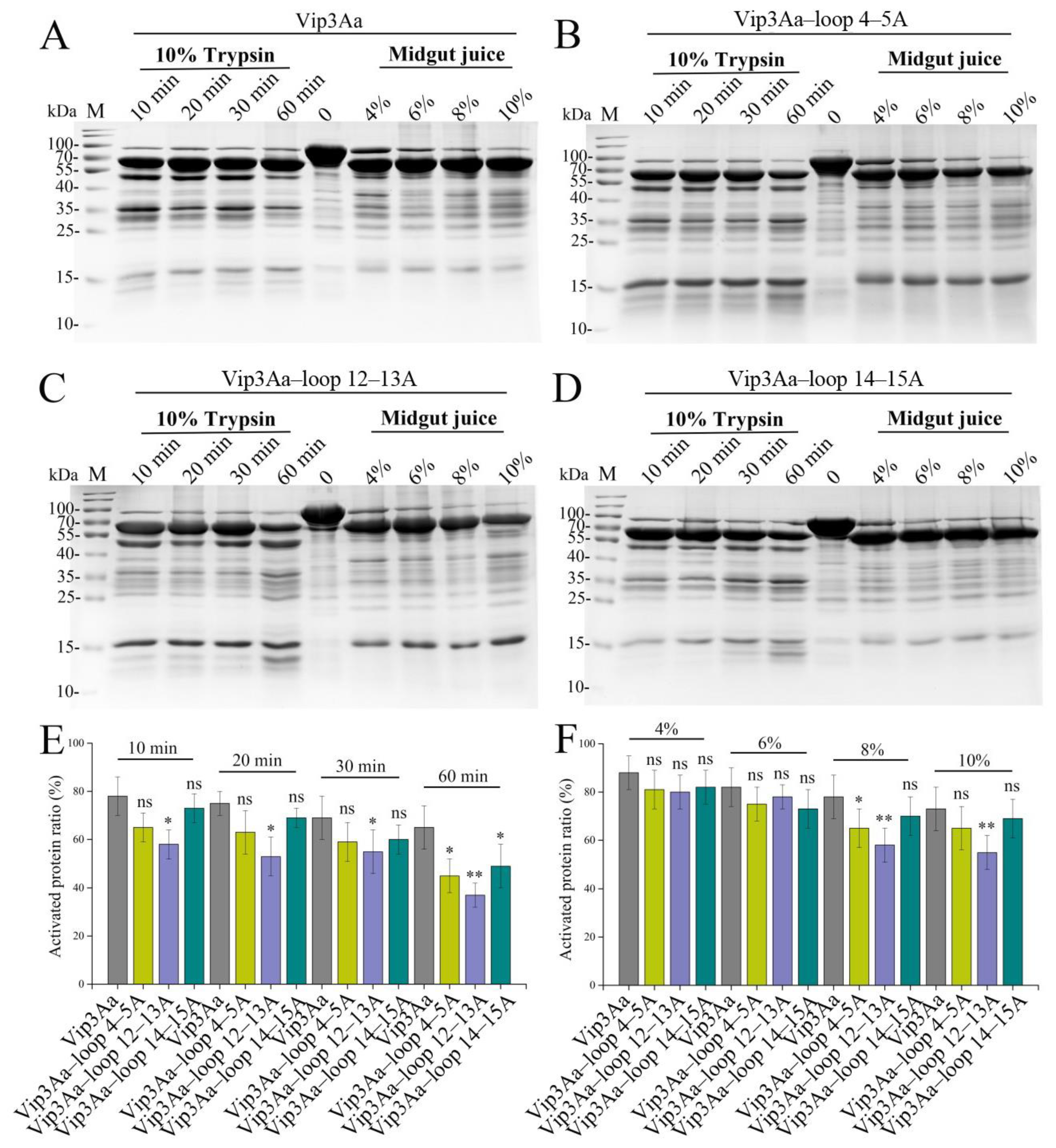 Toxins 16 00023 g002