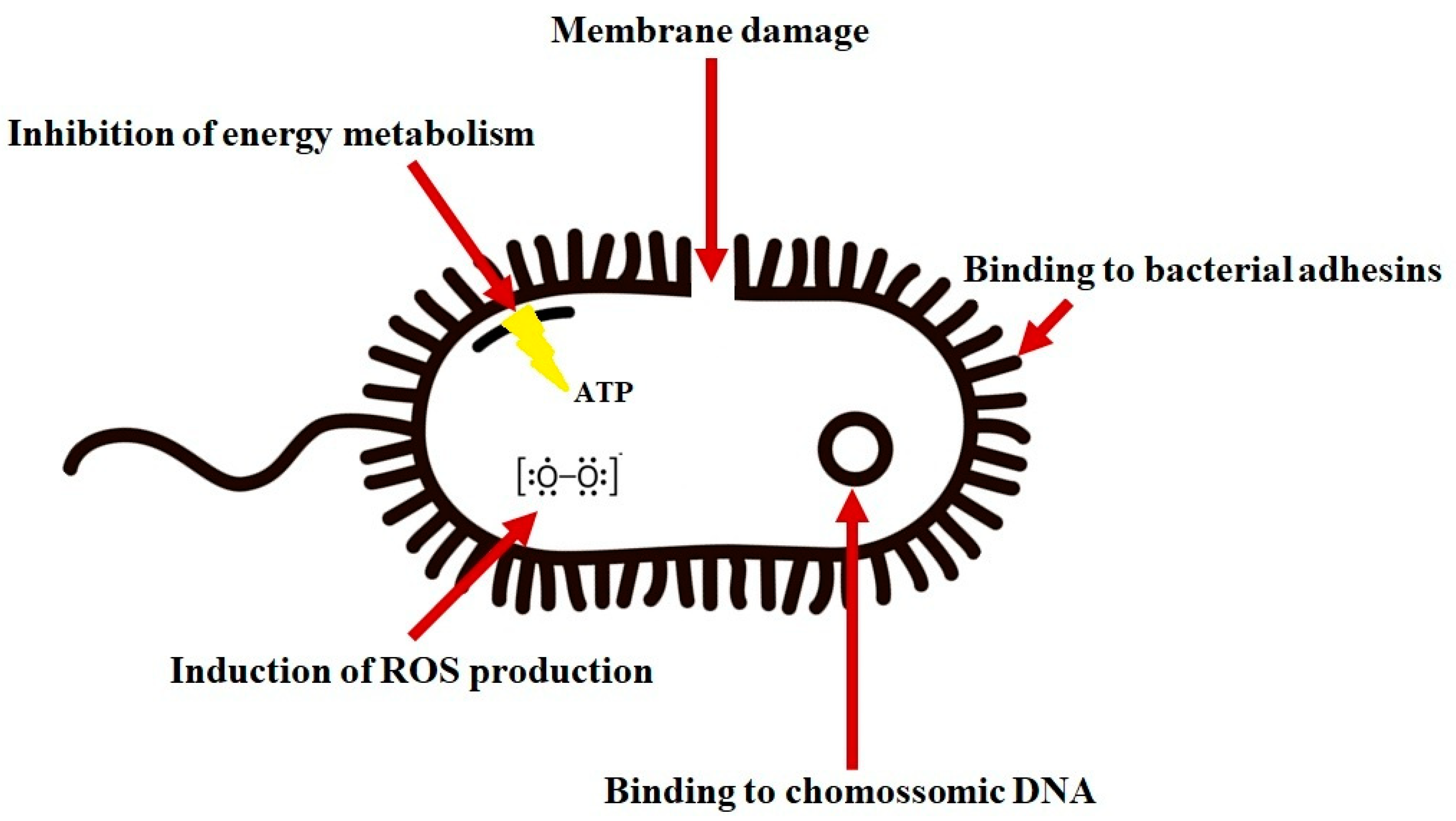 Toxins 16 00024 g003