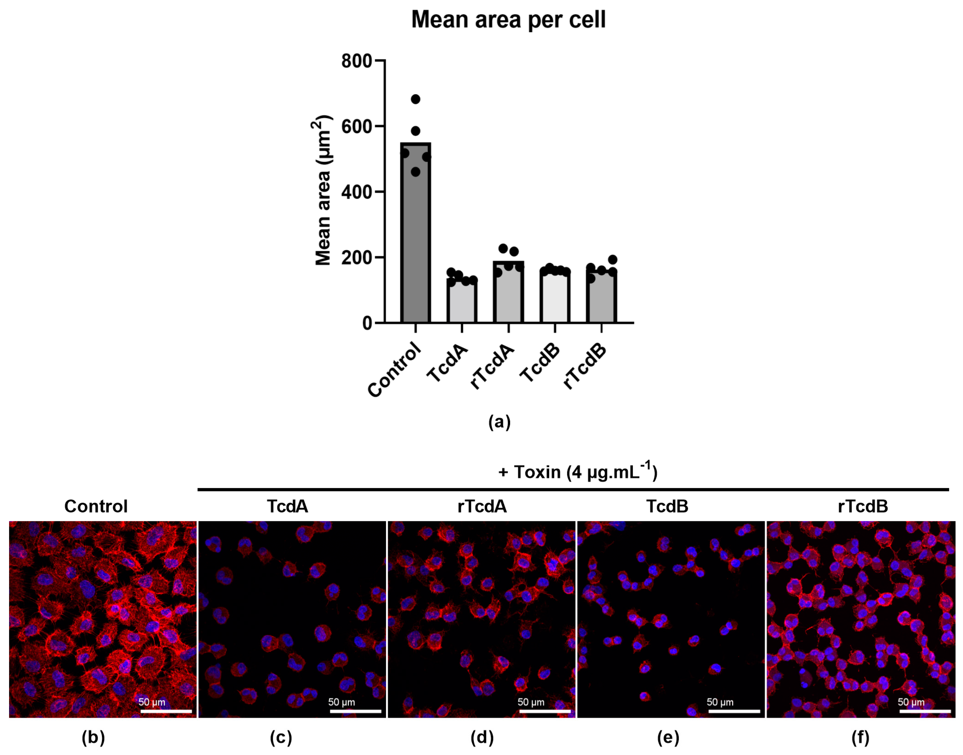 Toxins 16 00038 g005 Toxins 16 00038 g005