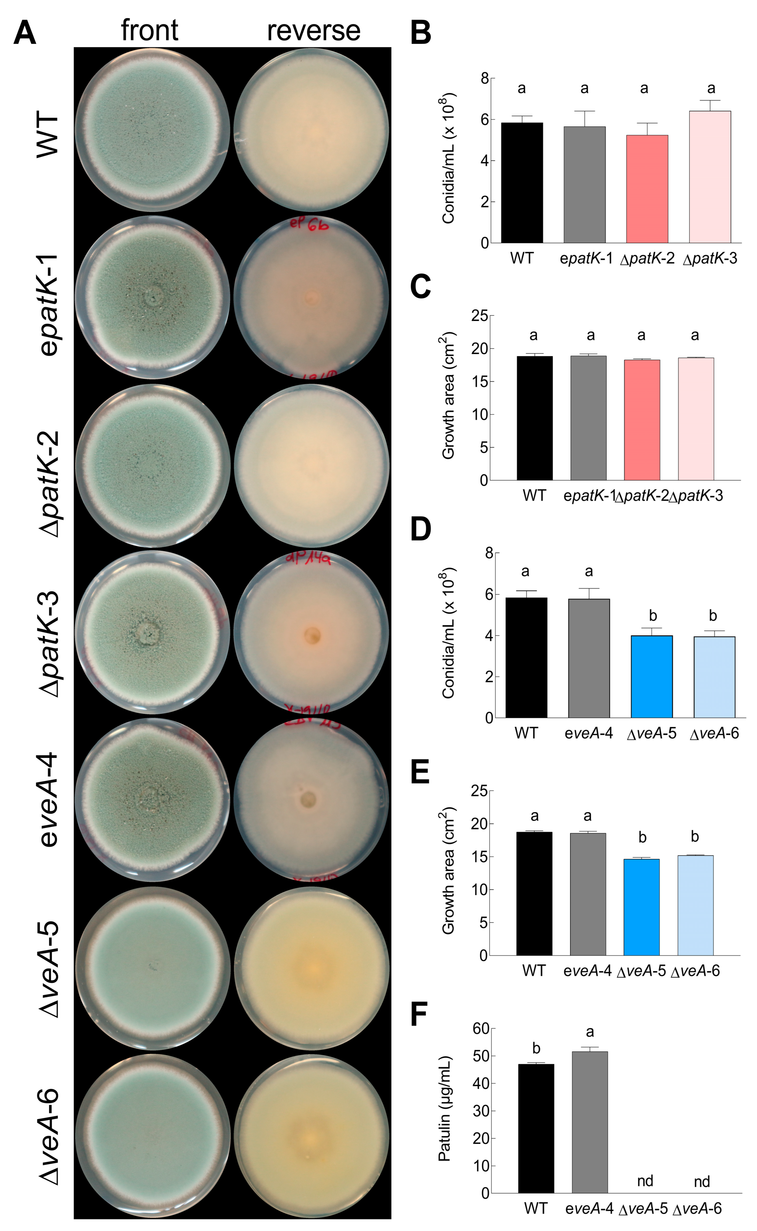 Toxins 16 00052 g002