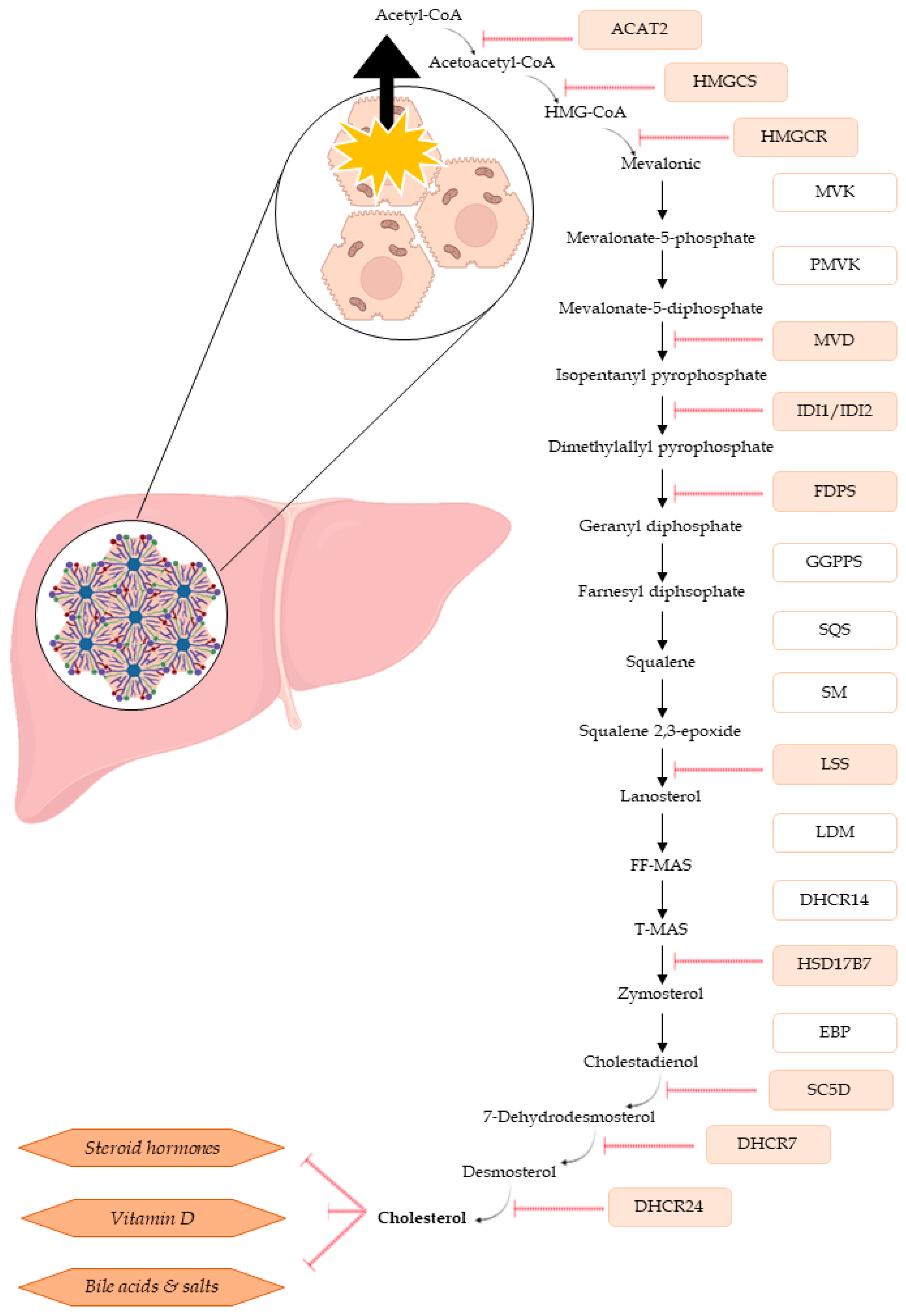 Toxins | Free Full-Text | Cytotoxic Effects of Major and Emerging 