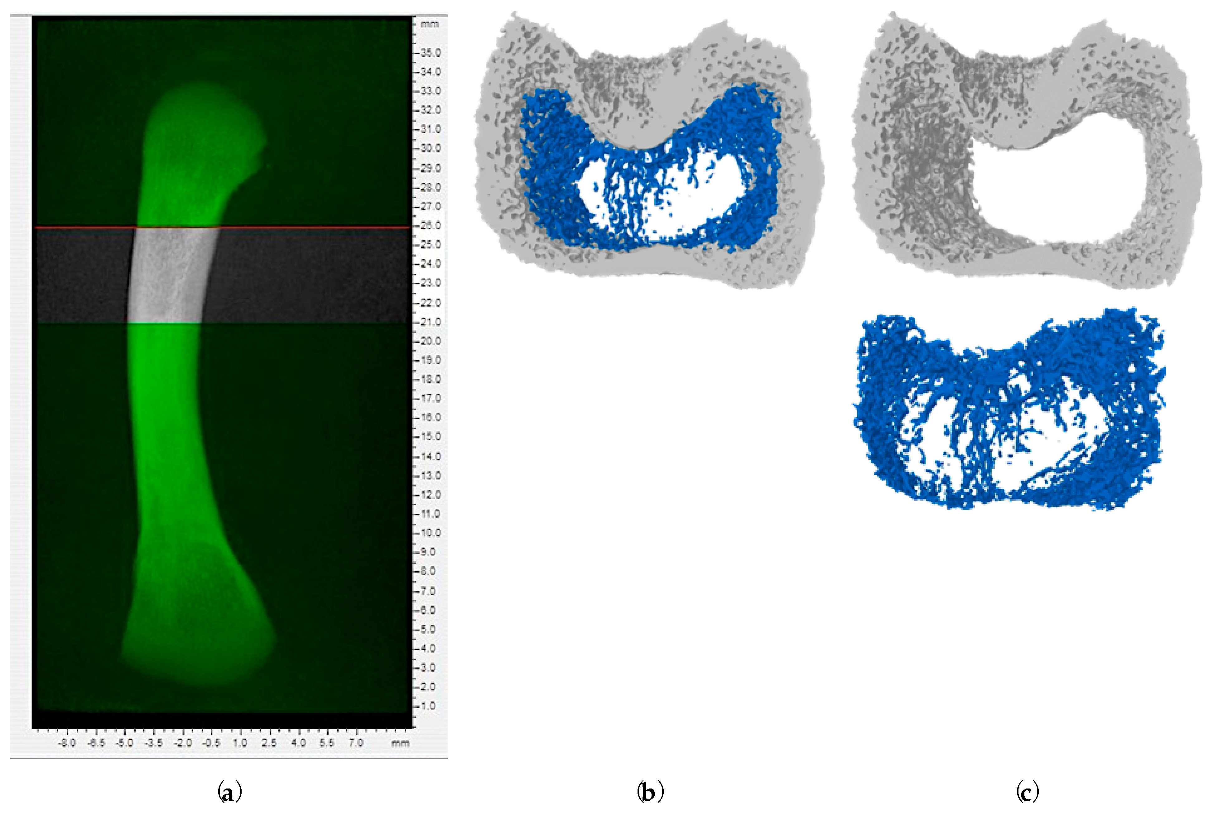 Toxins 16 00078 g006