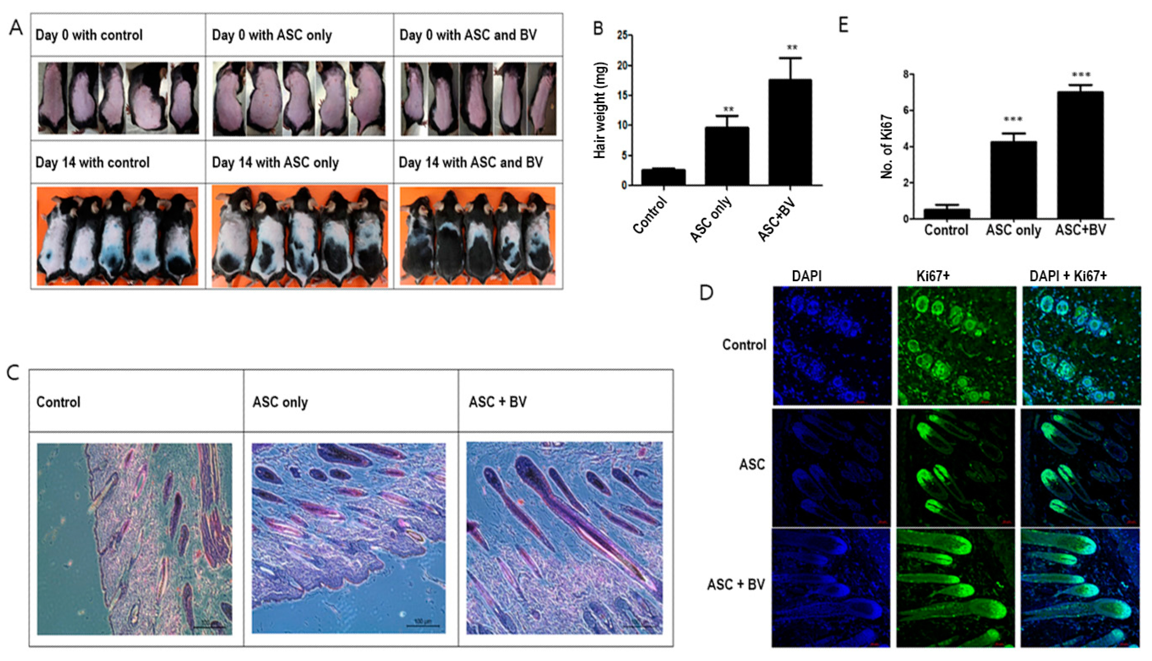 Toxins 16 00084 g002