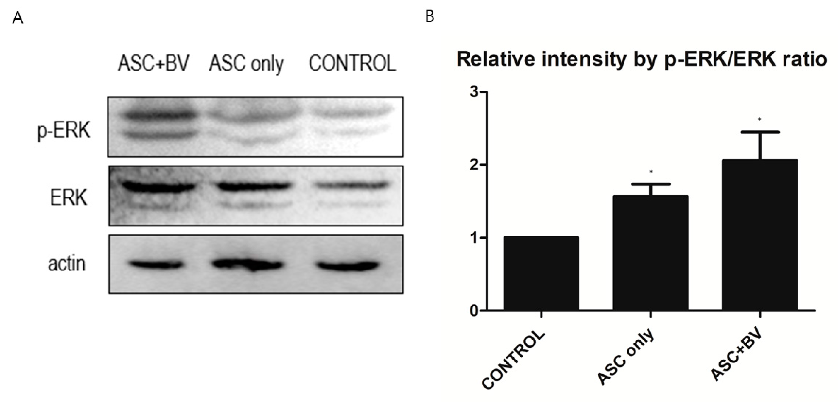 Toxins 16 00084 g006