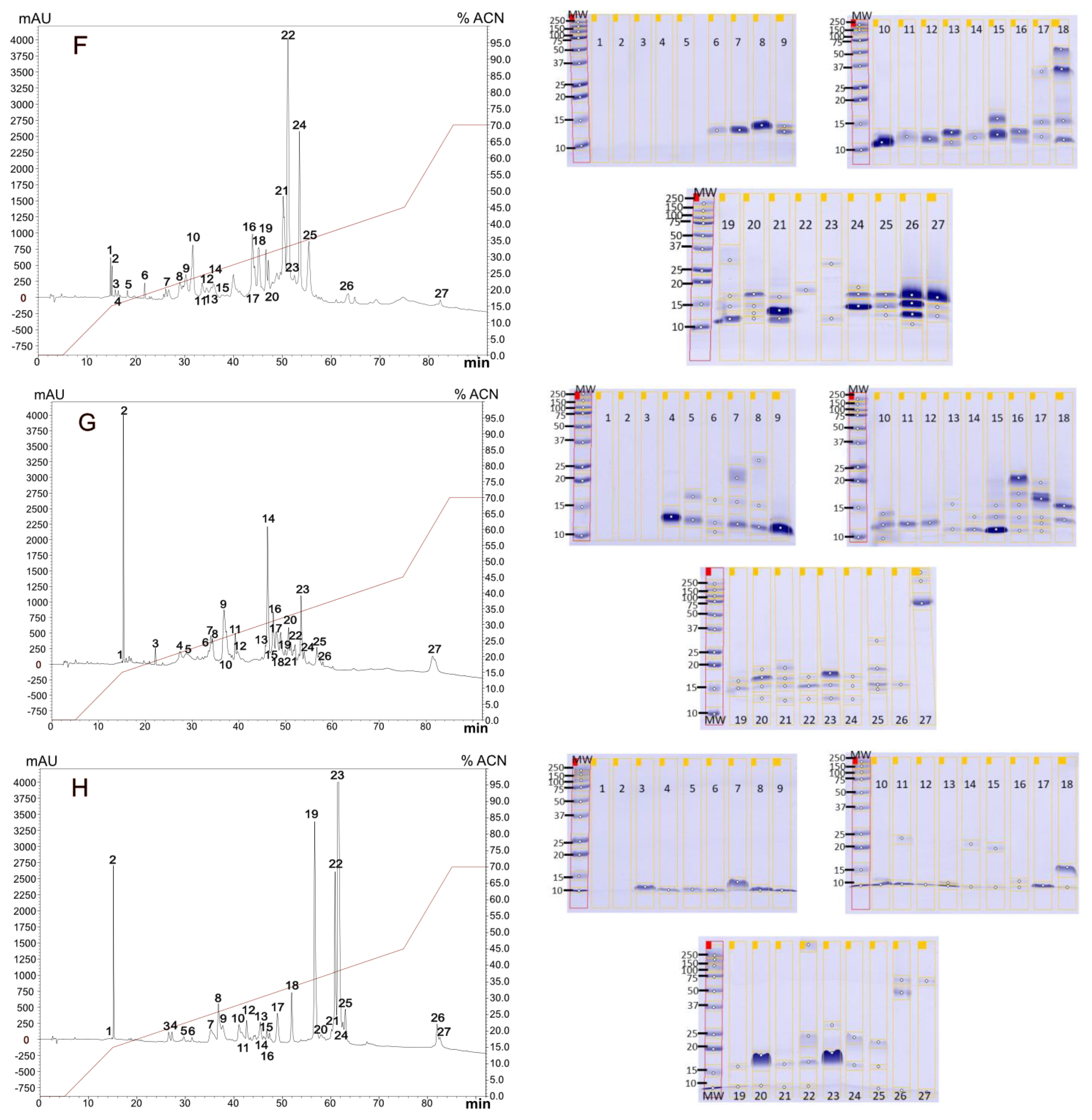 Toxins 16 00183 g001c