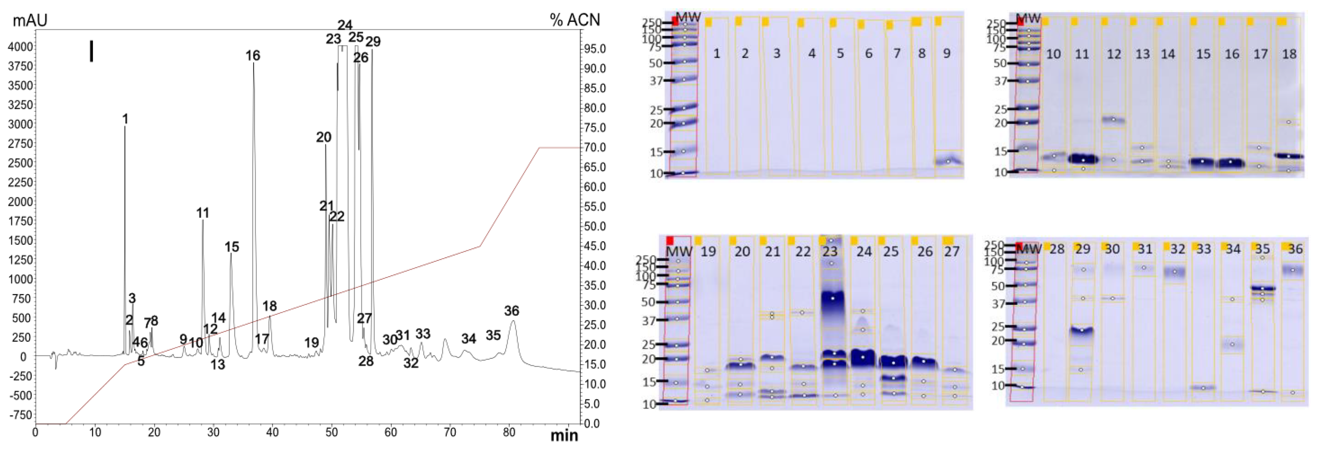 Toxins 16 00183 g001d