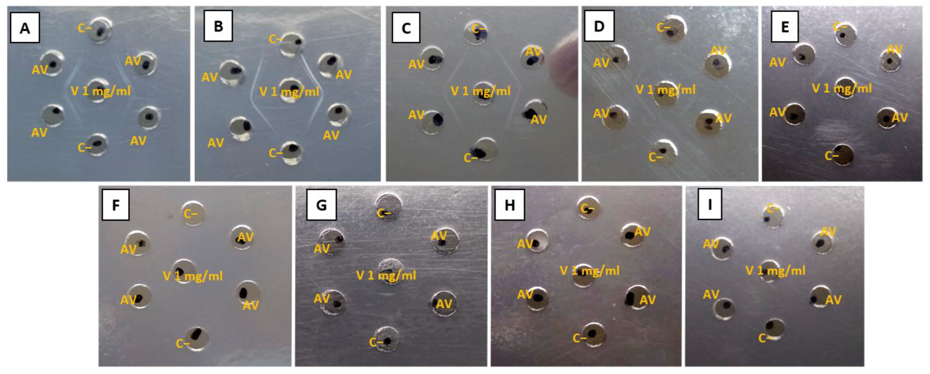 Toxins 16 00183 g004