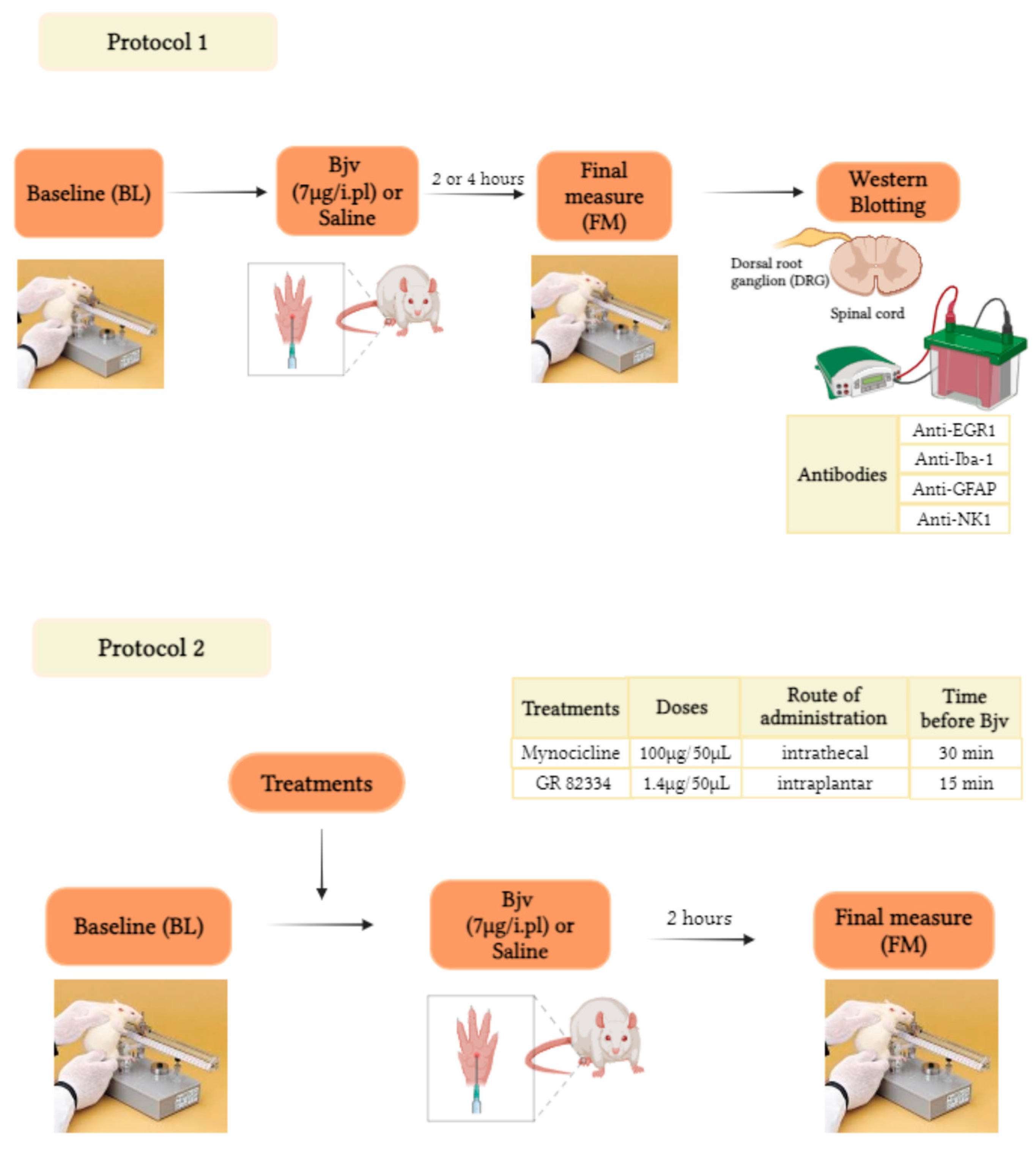 Toxins 16 00187 g006
