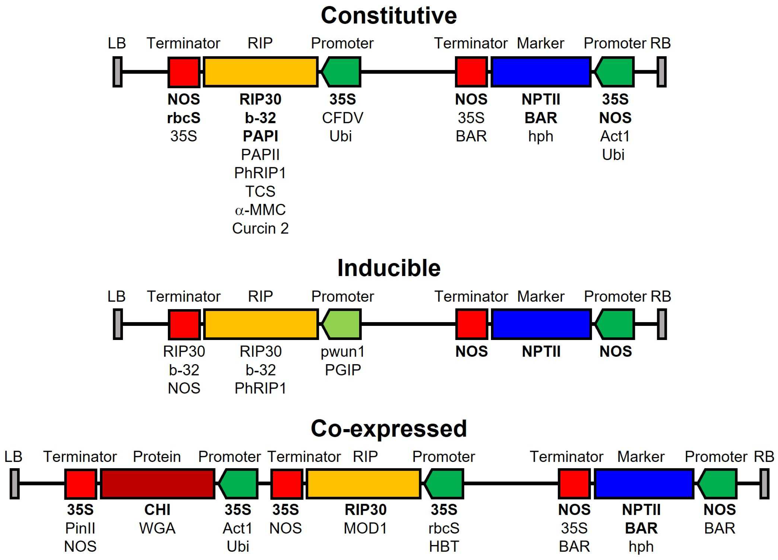 Toxins 16 00192 g002