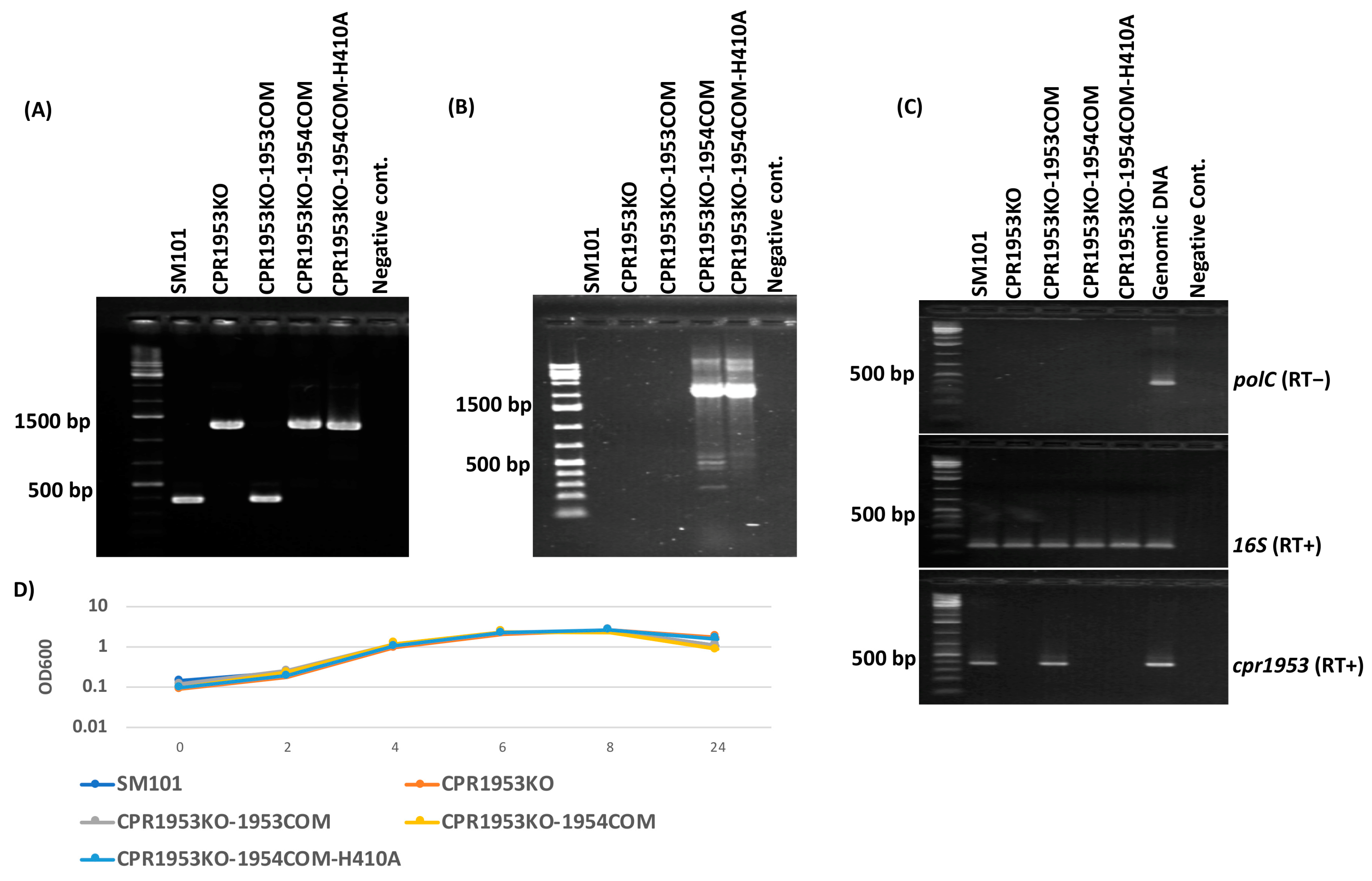 Toxins 16 00195 g001