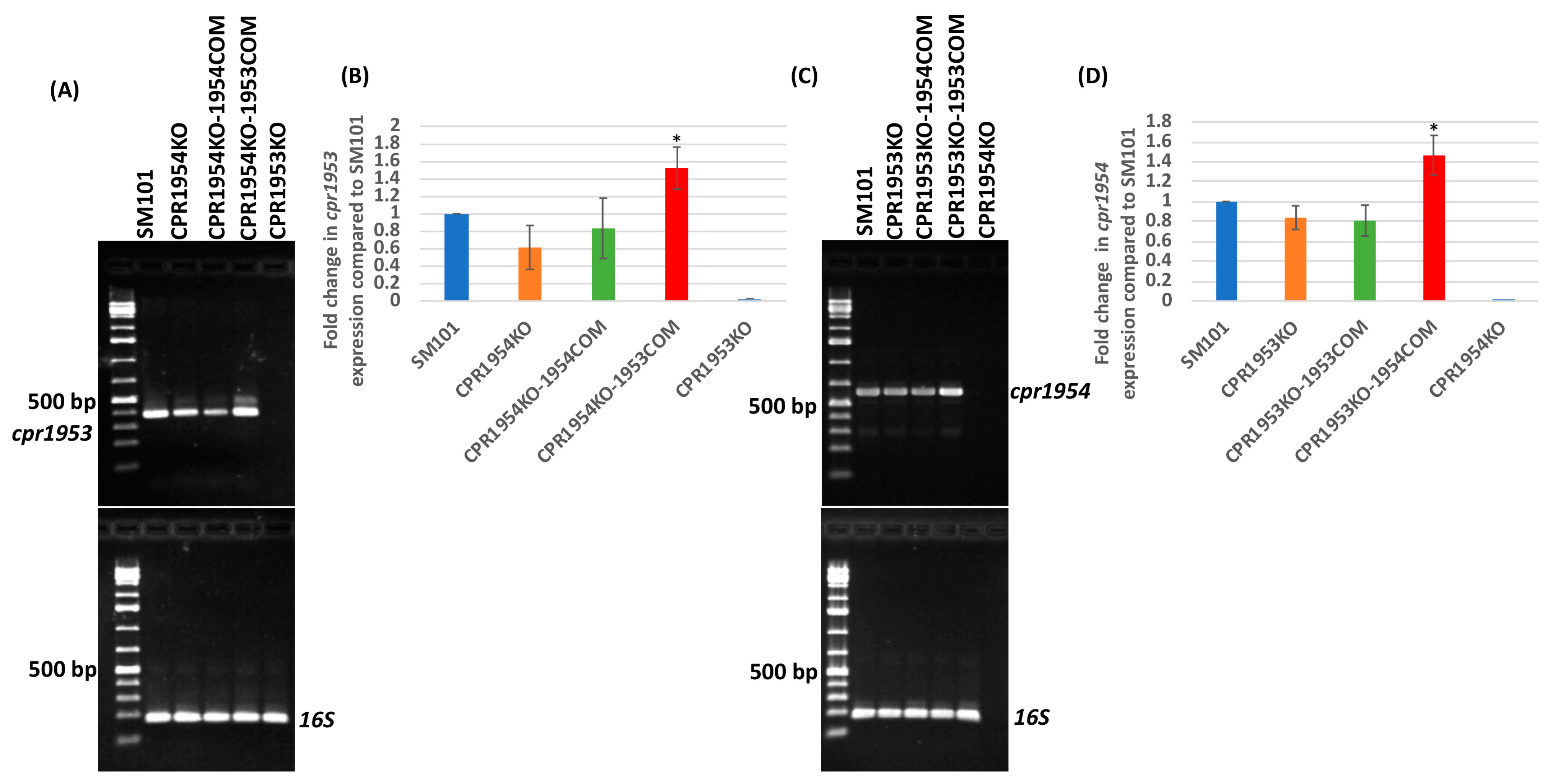 Toxins 16 00195 g003