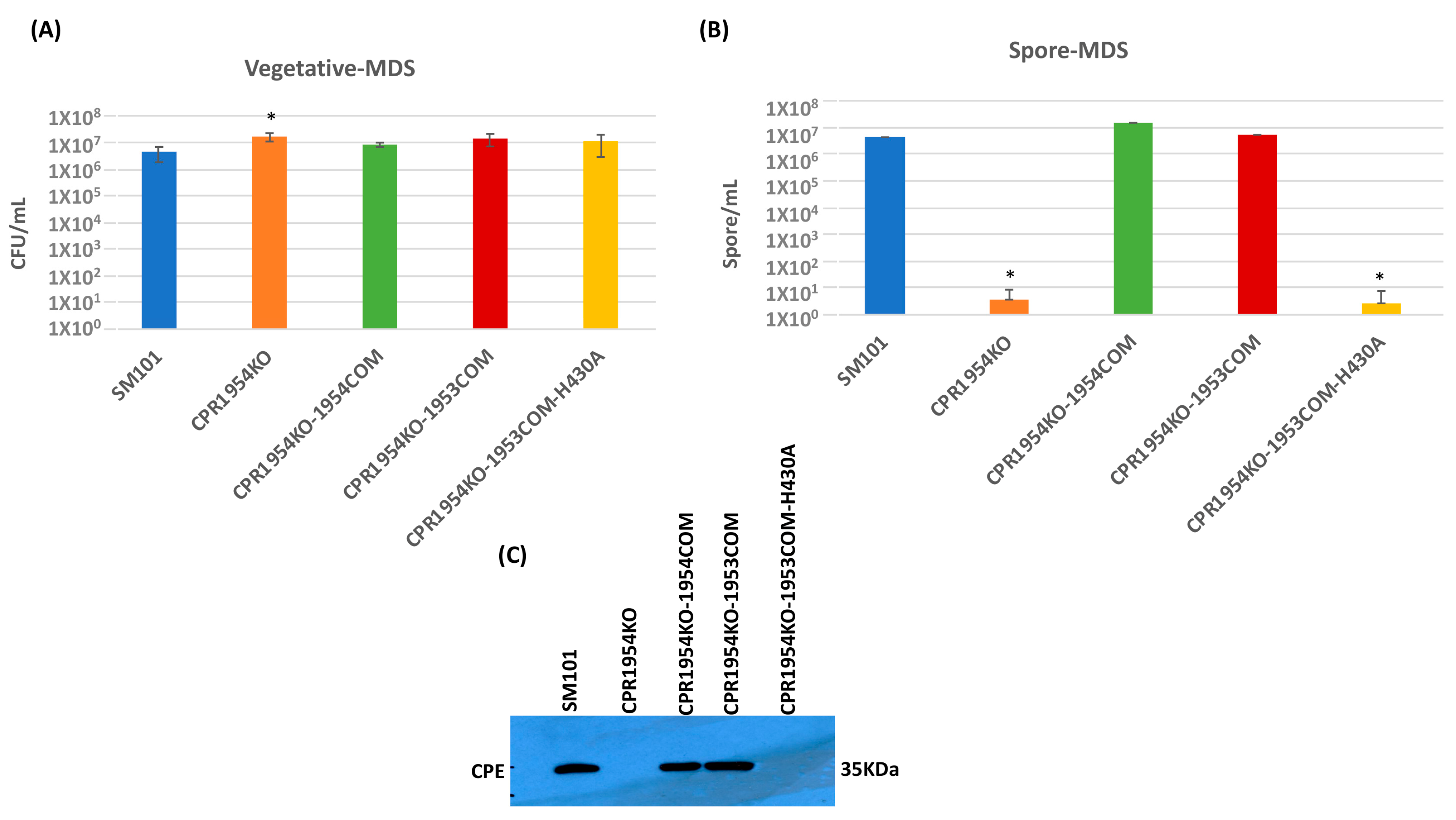 Toxins 16 00195 g005