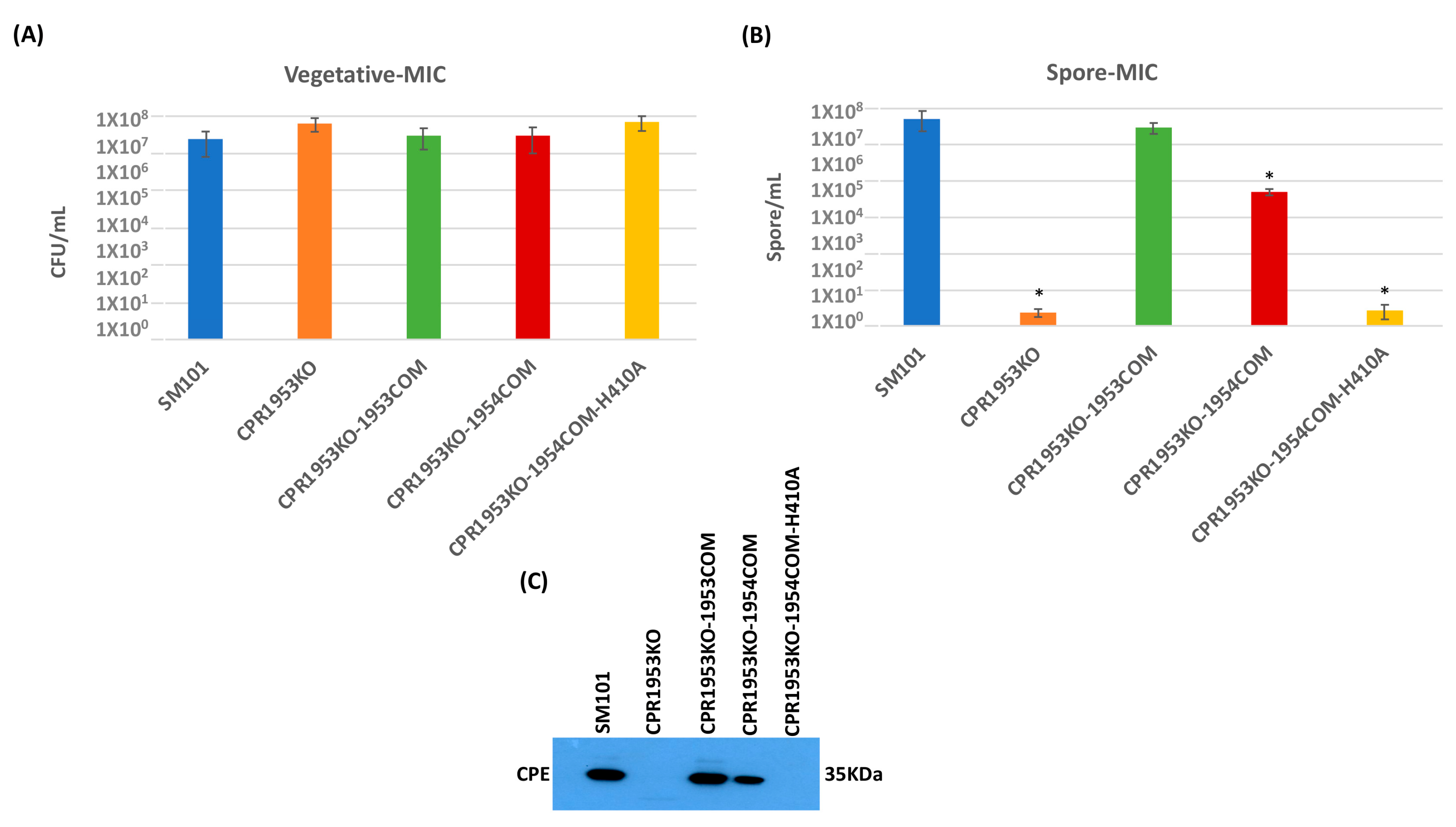 Toxins 16 00195 g006