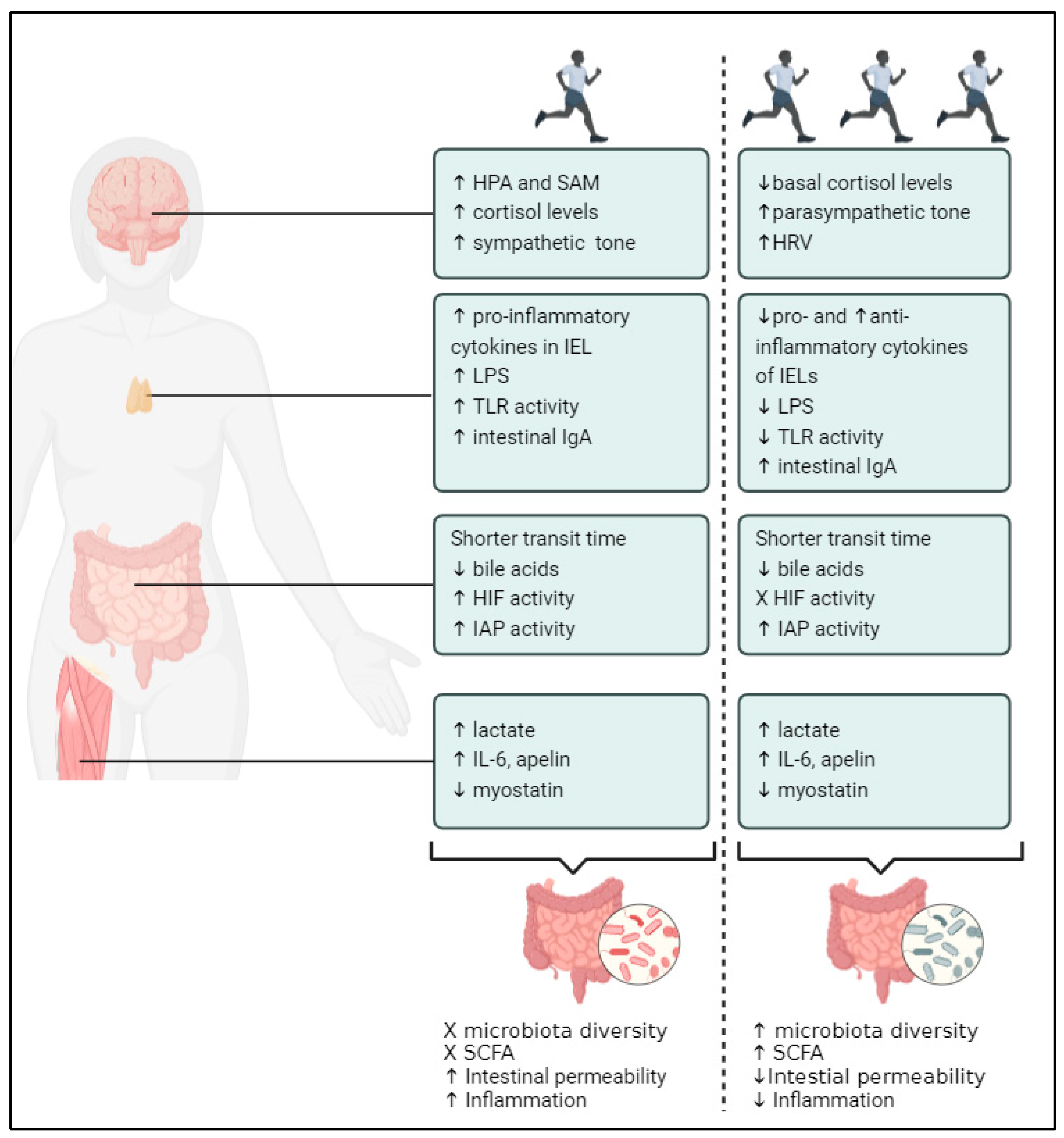 Toxins 16 00242 g001 Toxins 16 00242 g001