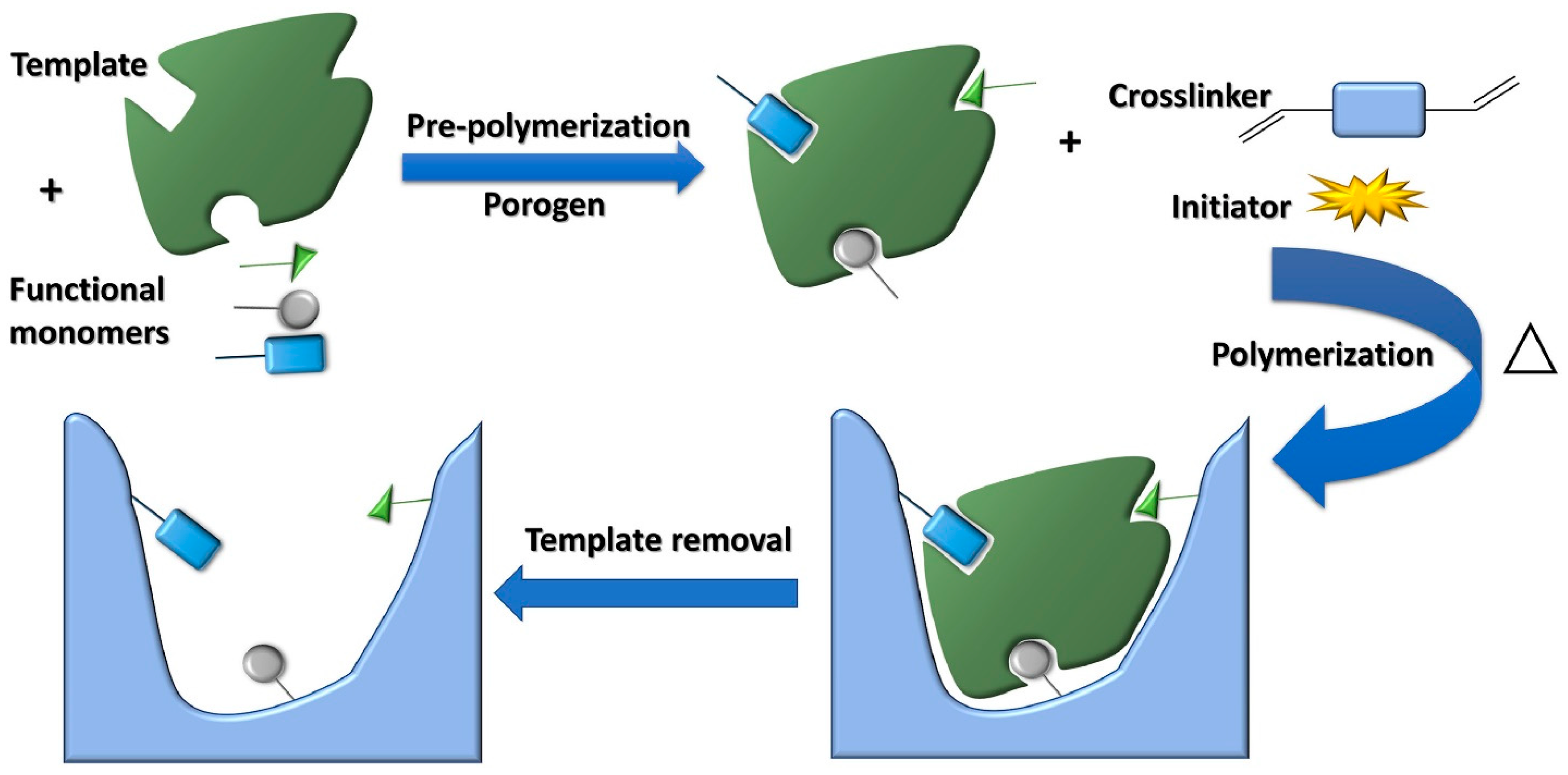 Toxins 16 00244 g003