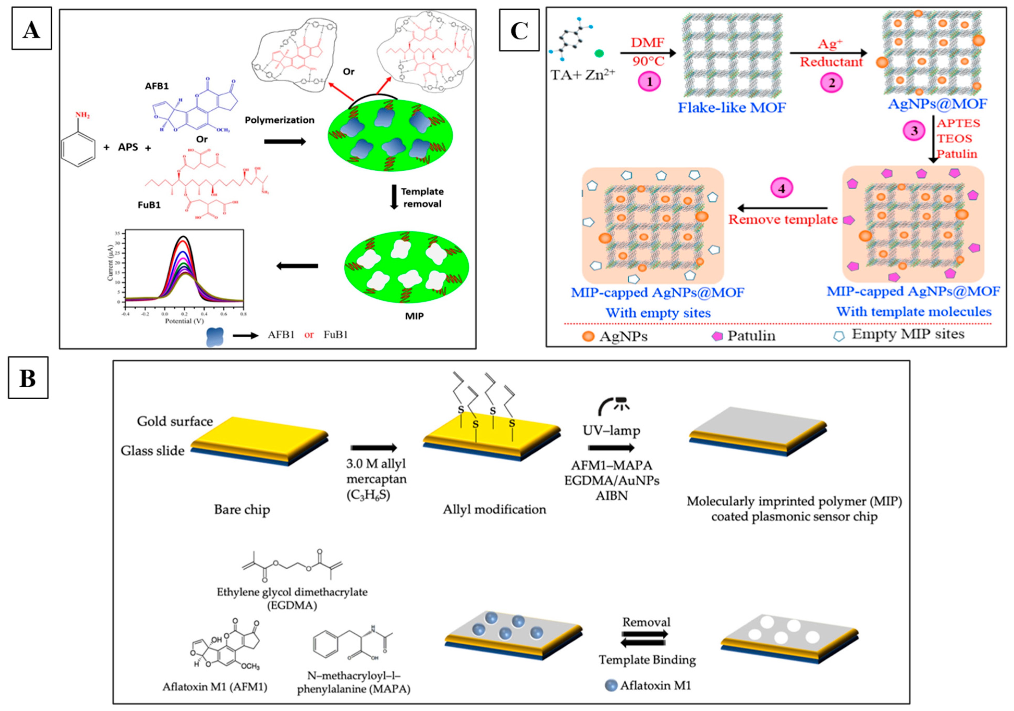 Toxins 16 00244 g004