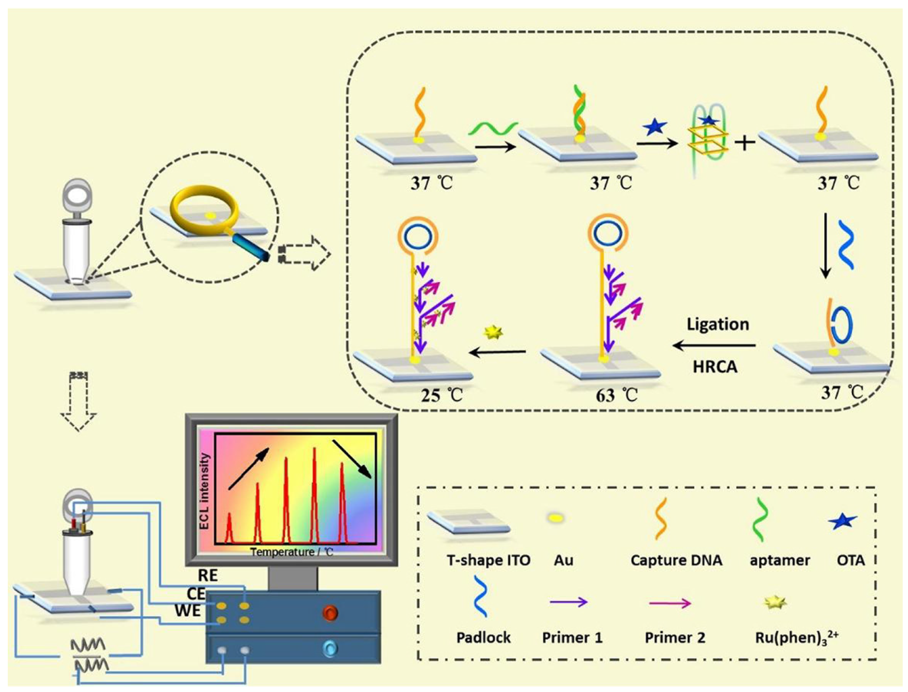 Toxins 16 00249 g002