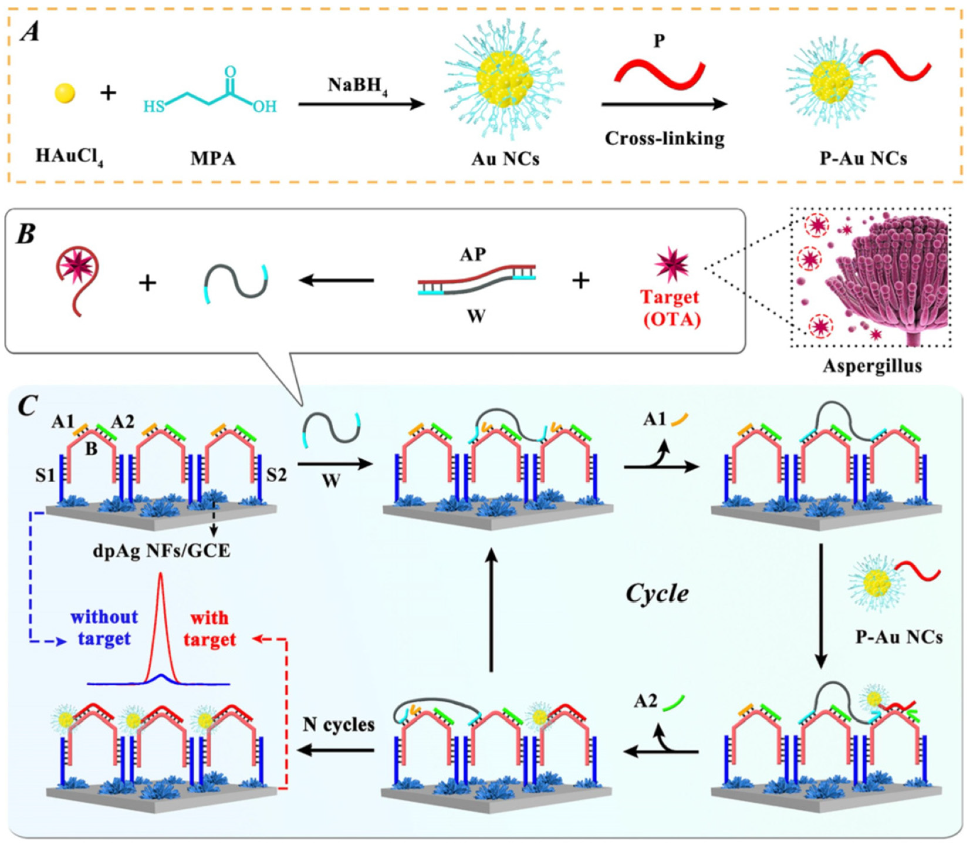 Toxins 16 00249 g003
