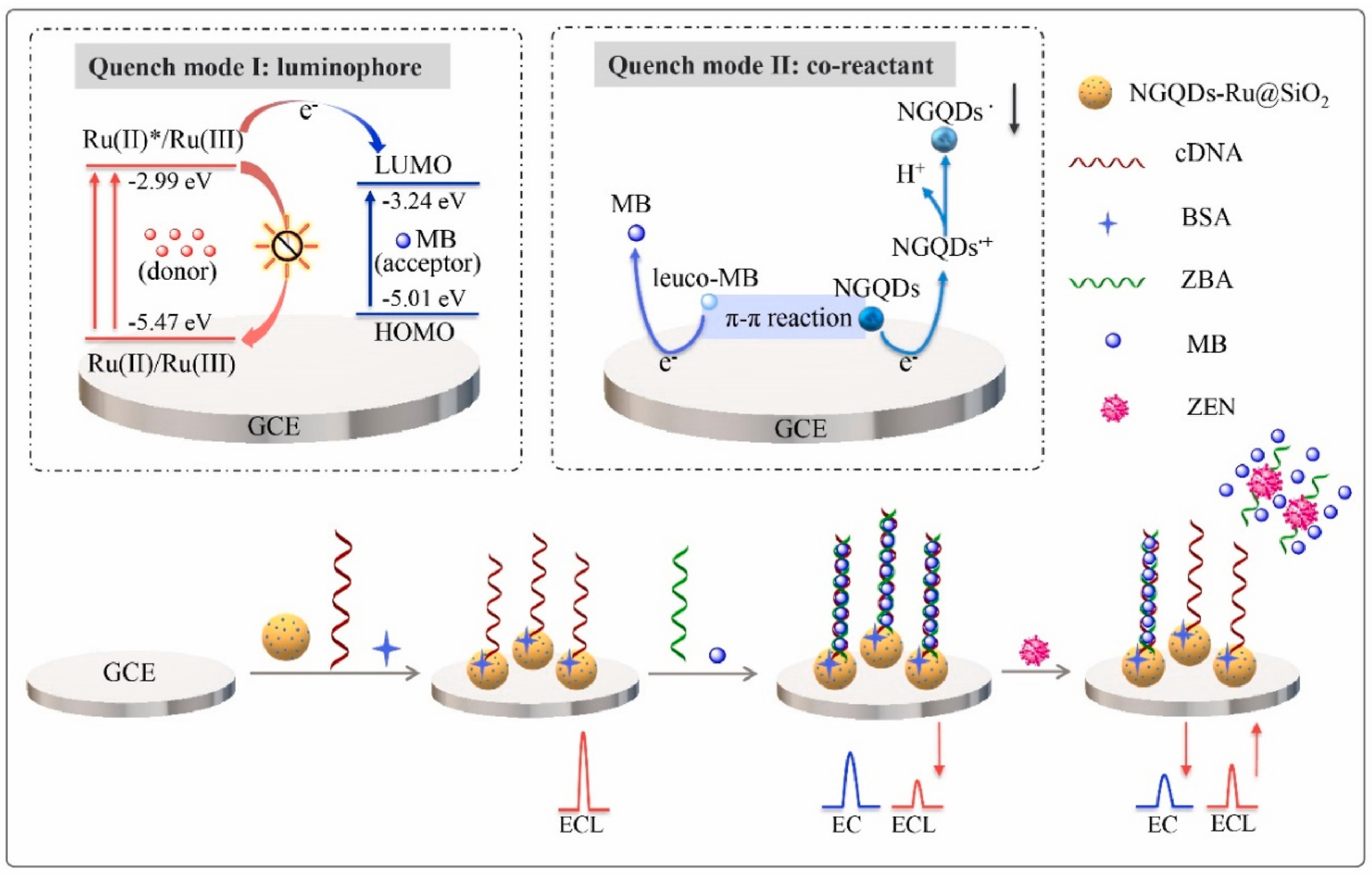 Toxins 16 00249 g004