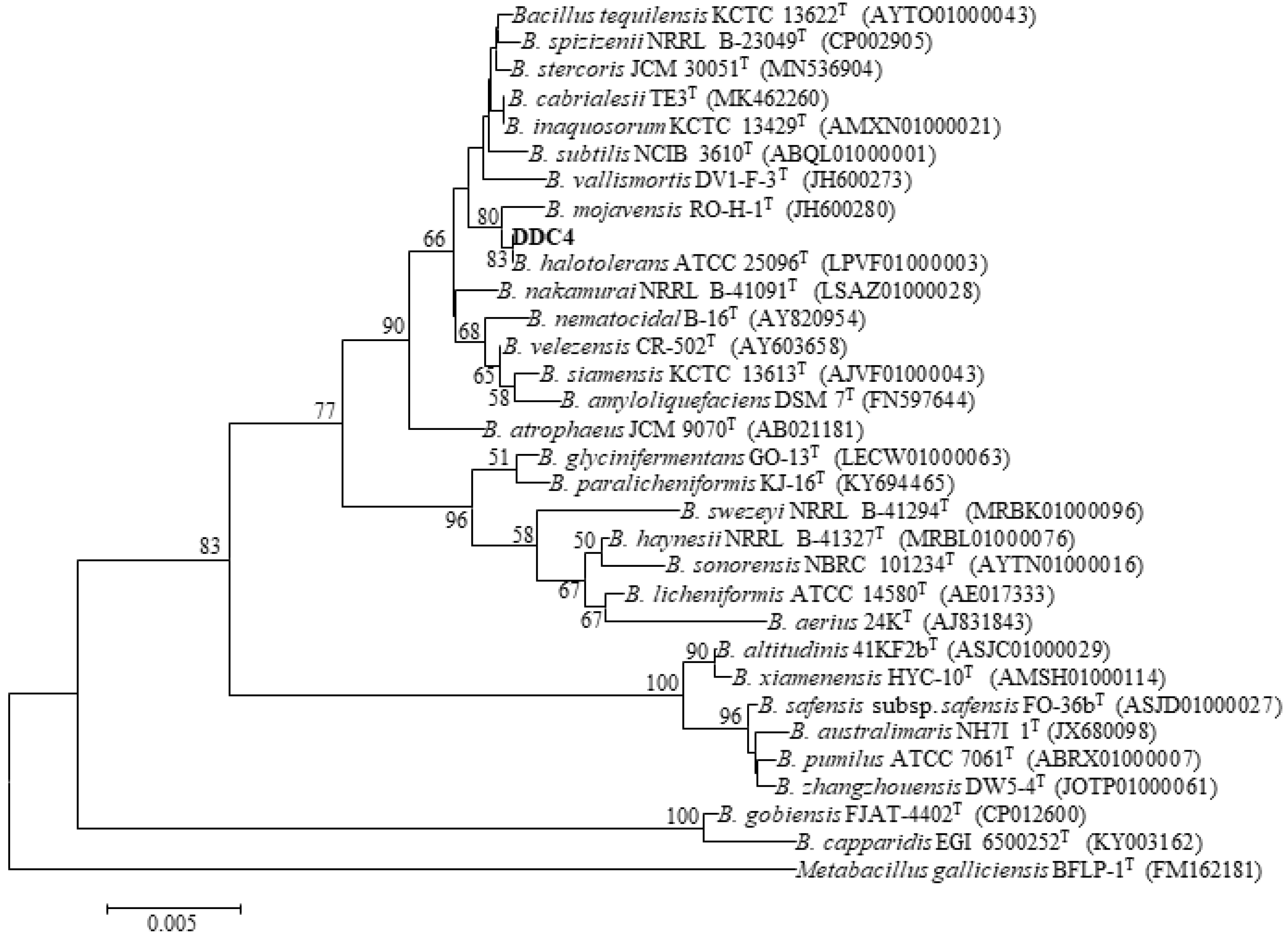 Toxins 16 00256 g002