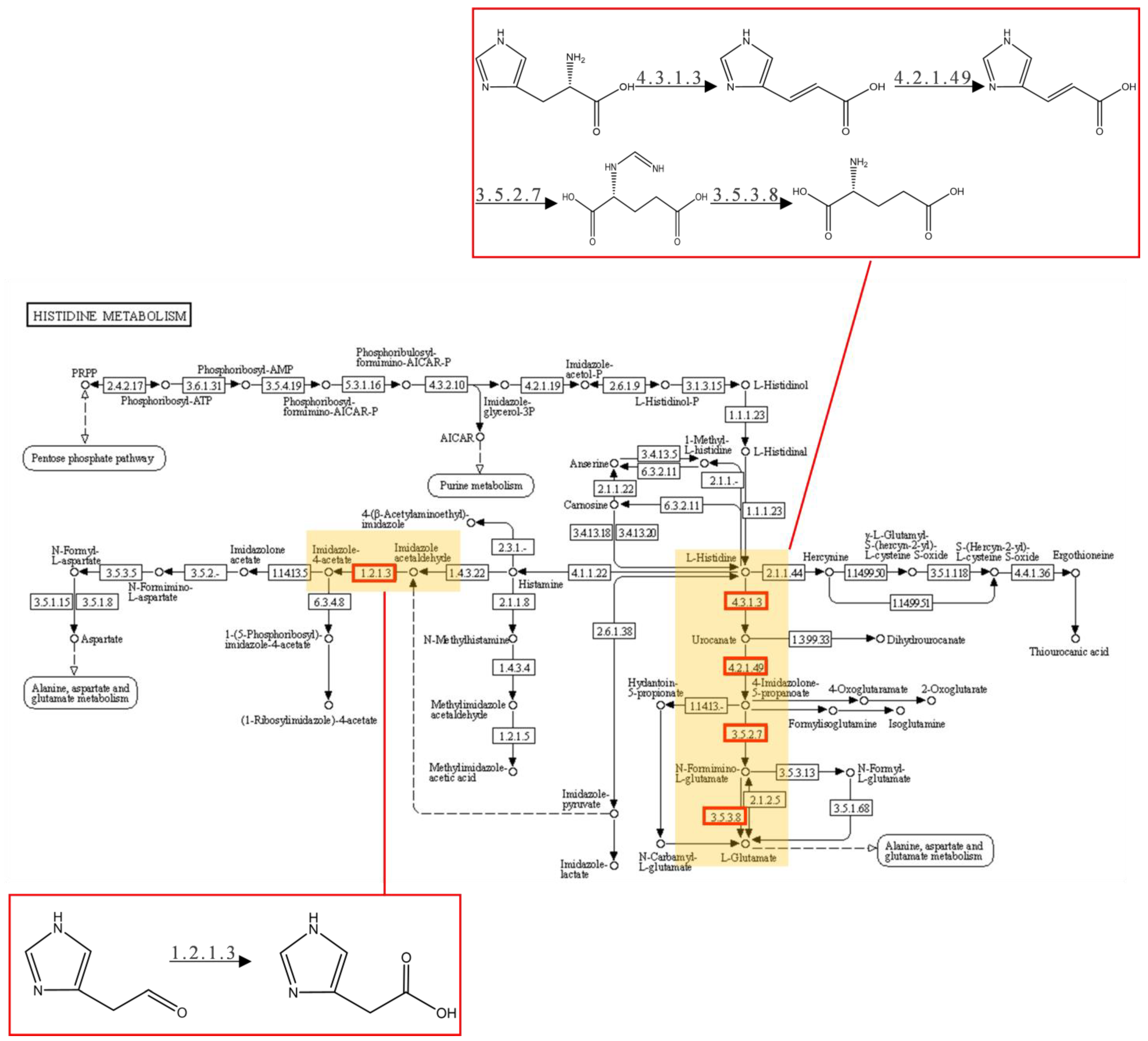 Toxins 16 00256 g007
