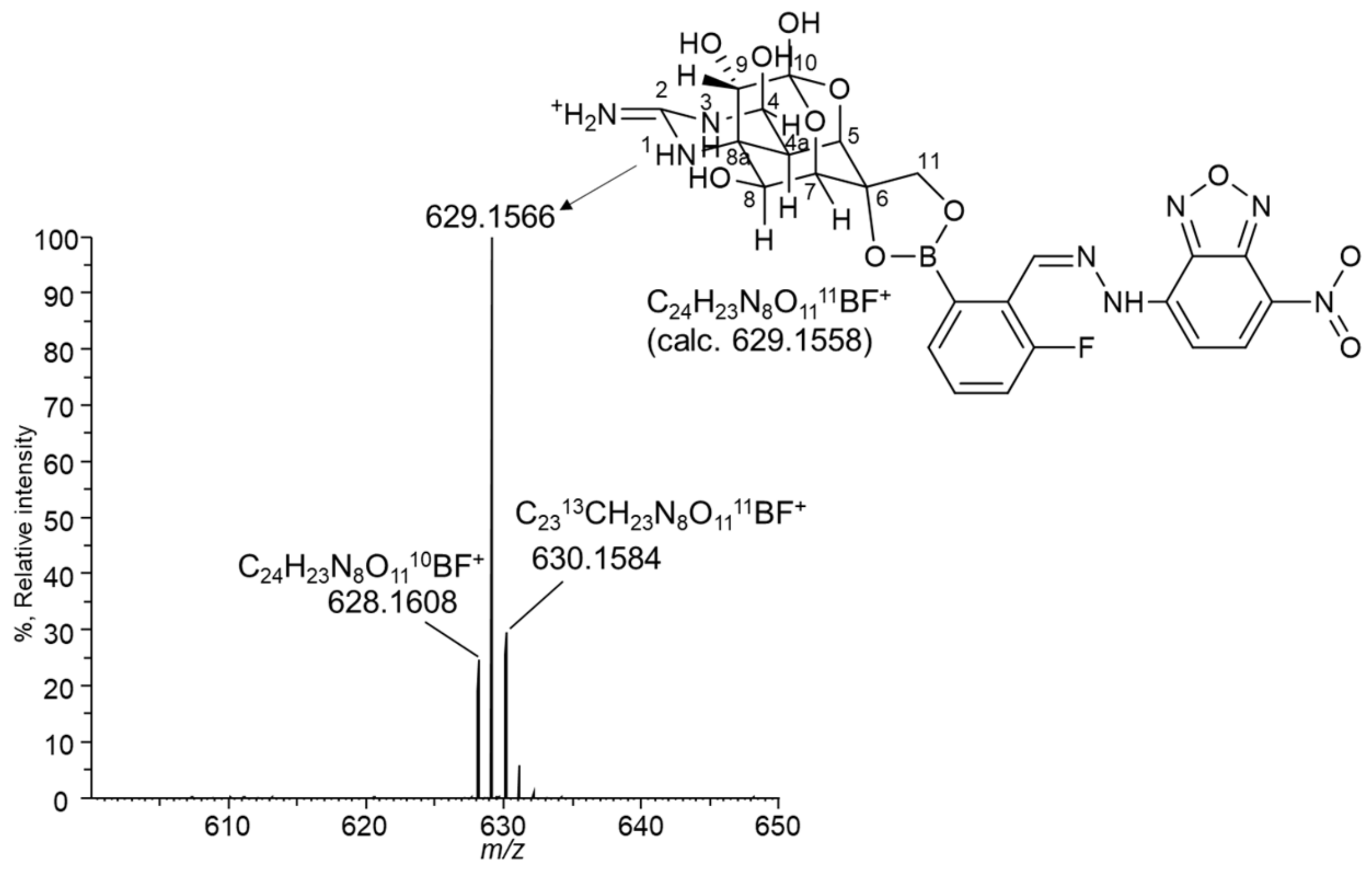 Toxins 16 00260 g003