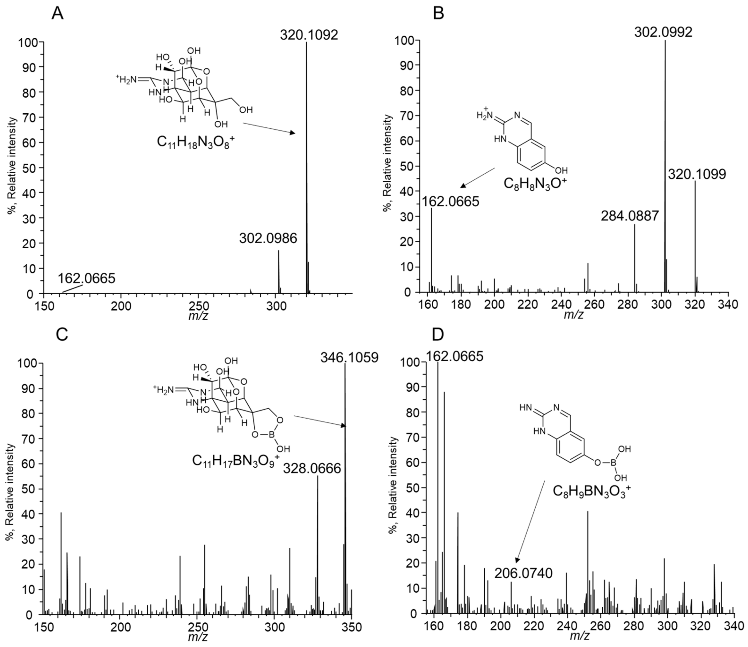 Toxins 16 00260 g004