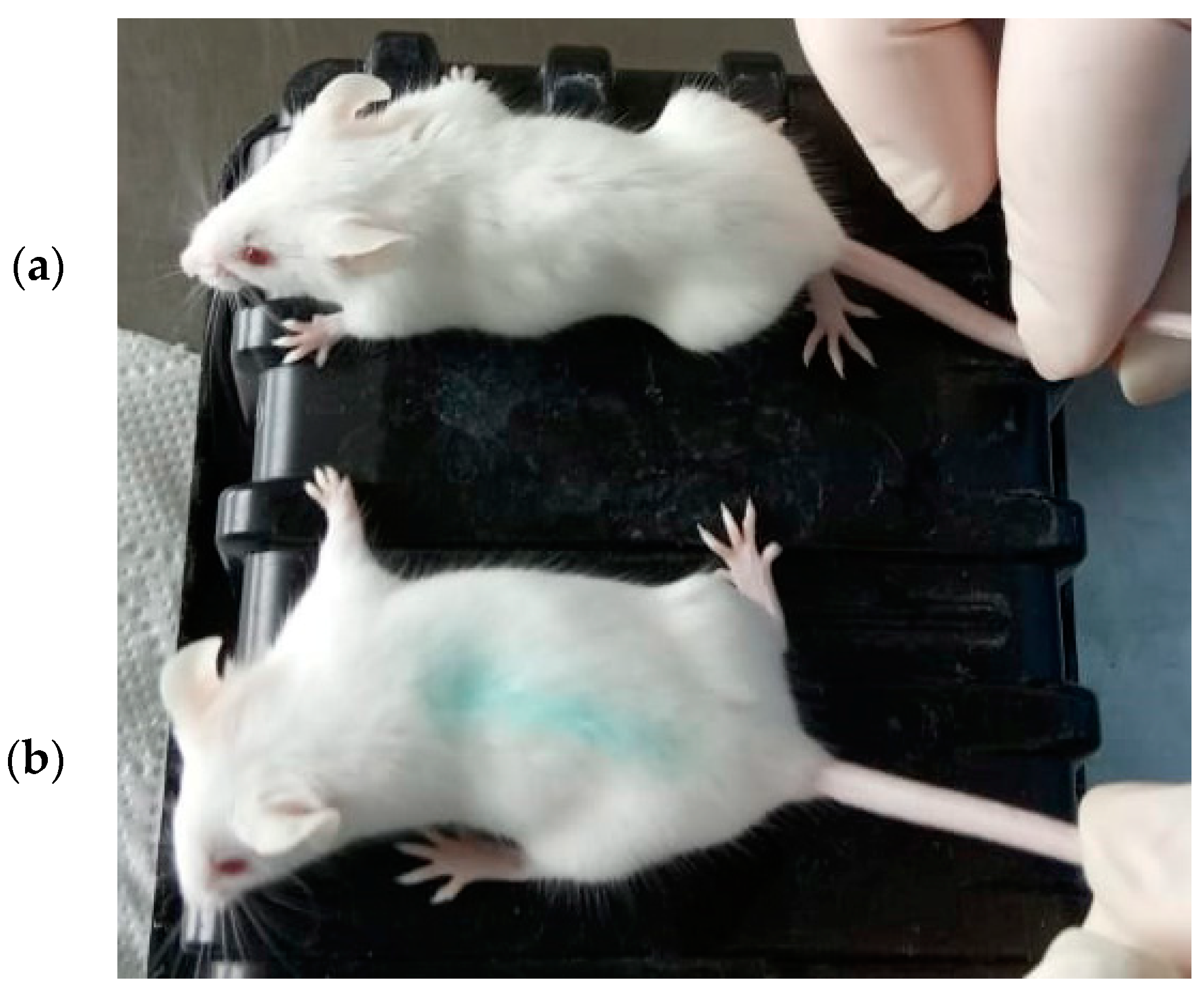 Toxins 16 00284 g004