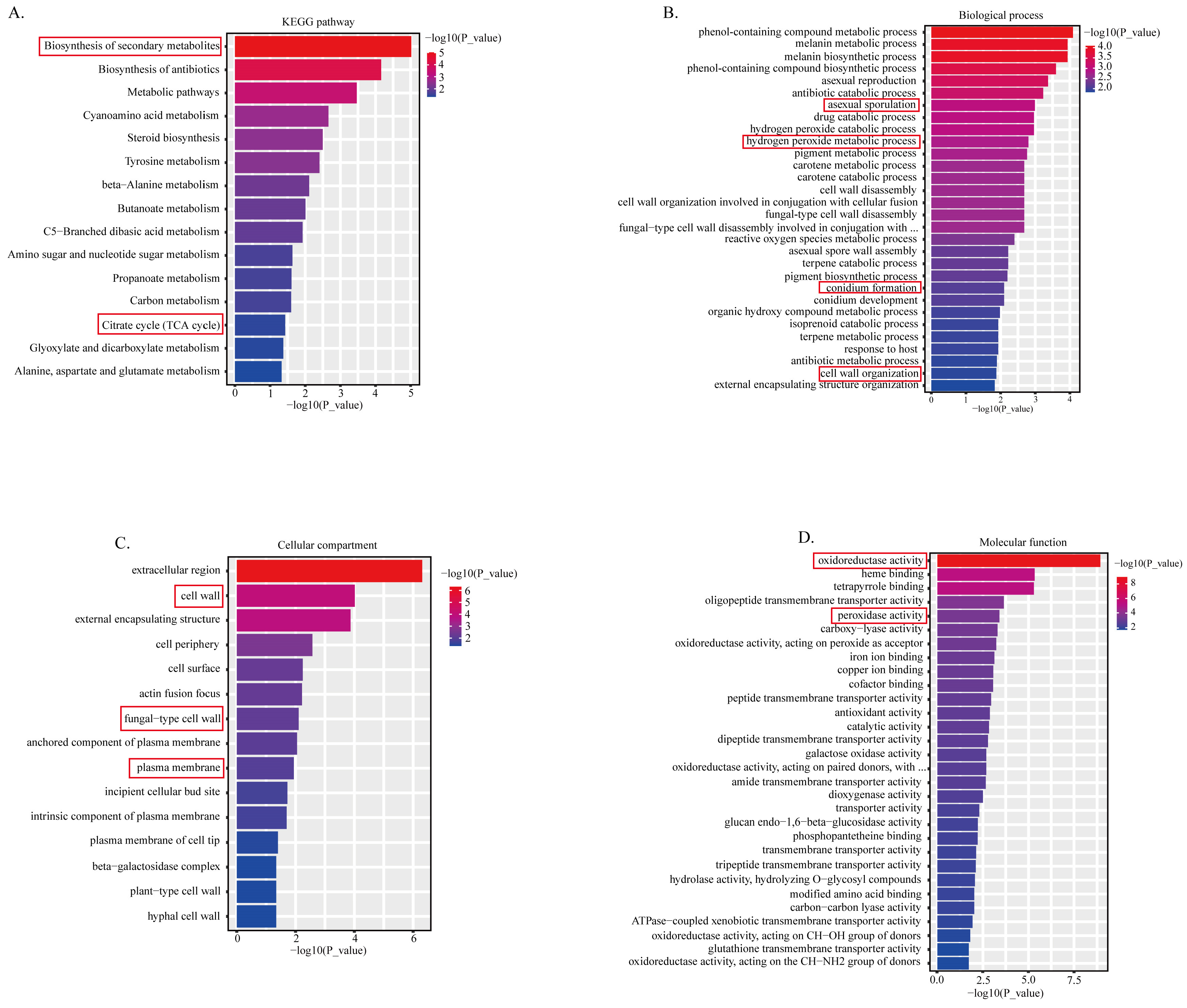 Toxins | Free Full-Text | Rhein Inhibits Cell Development and Aflatoxin ...