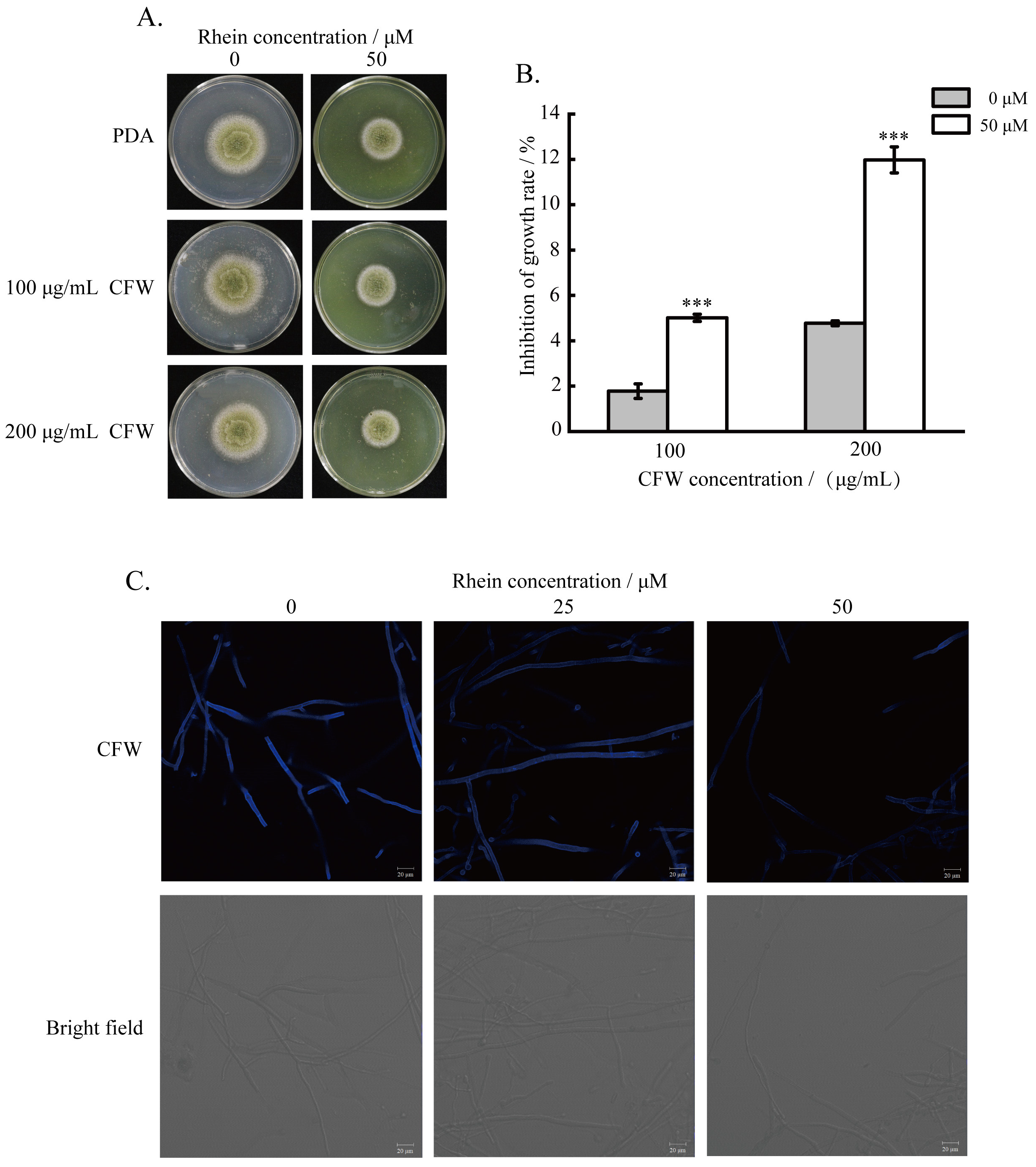 Toxins 16 00285 g004