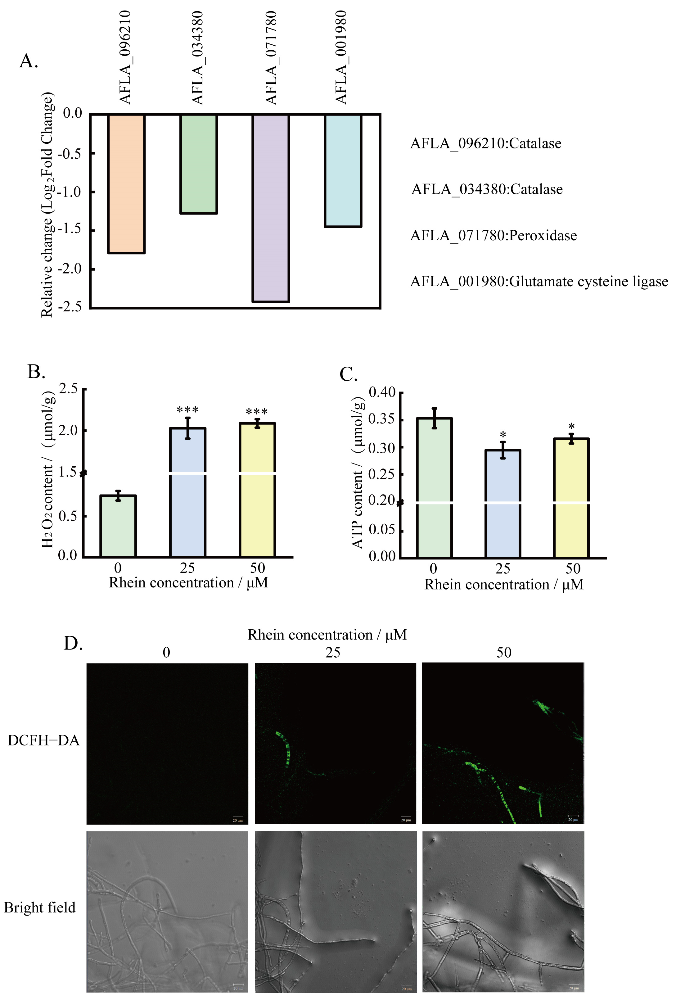 Toxins 16 00285 g006