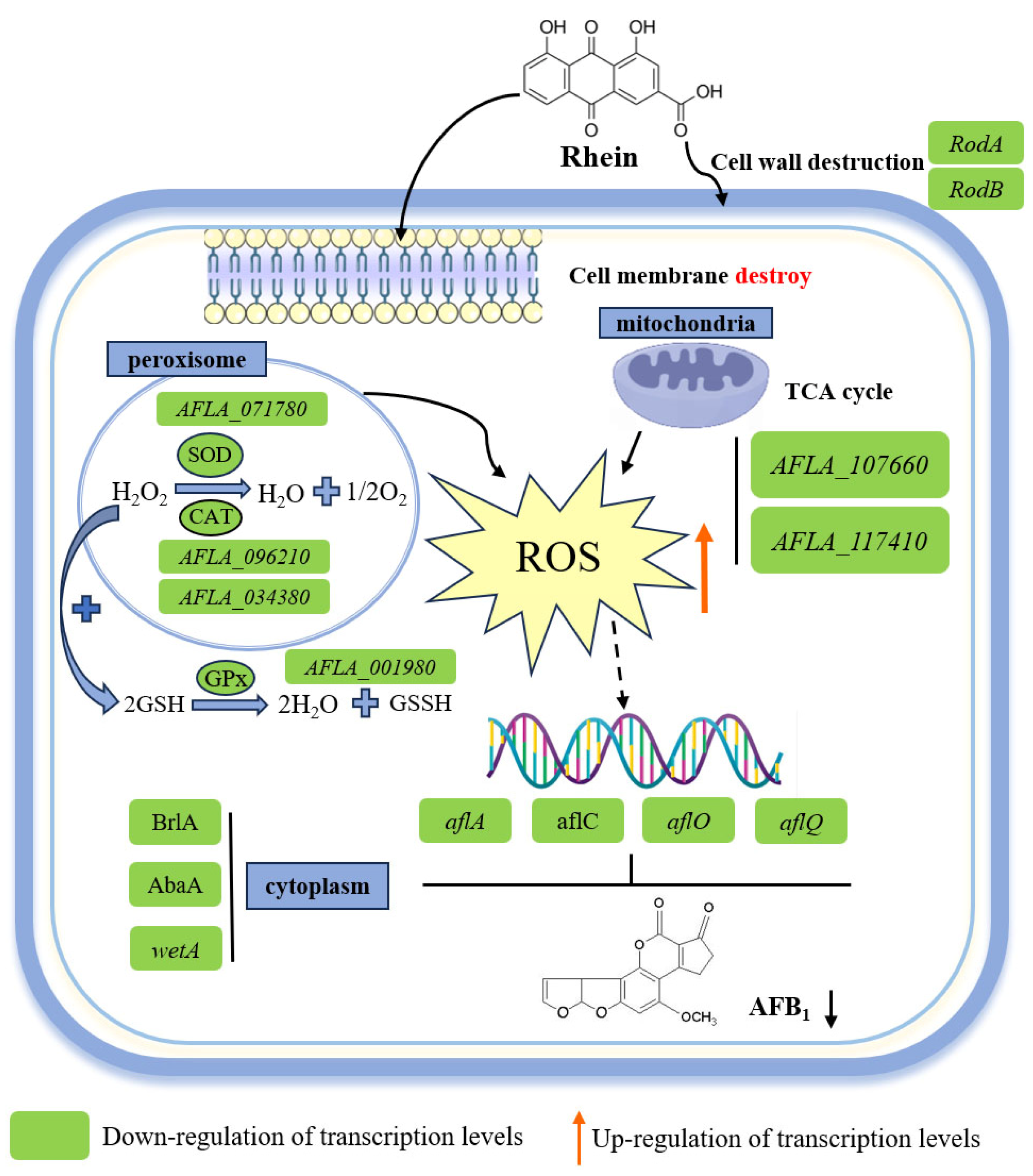 Toxins 16 00285 g008