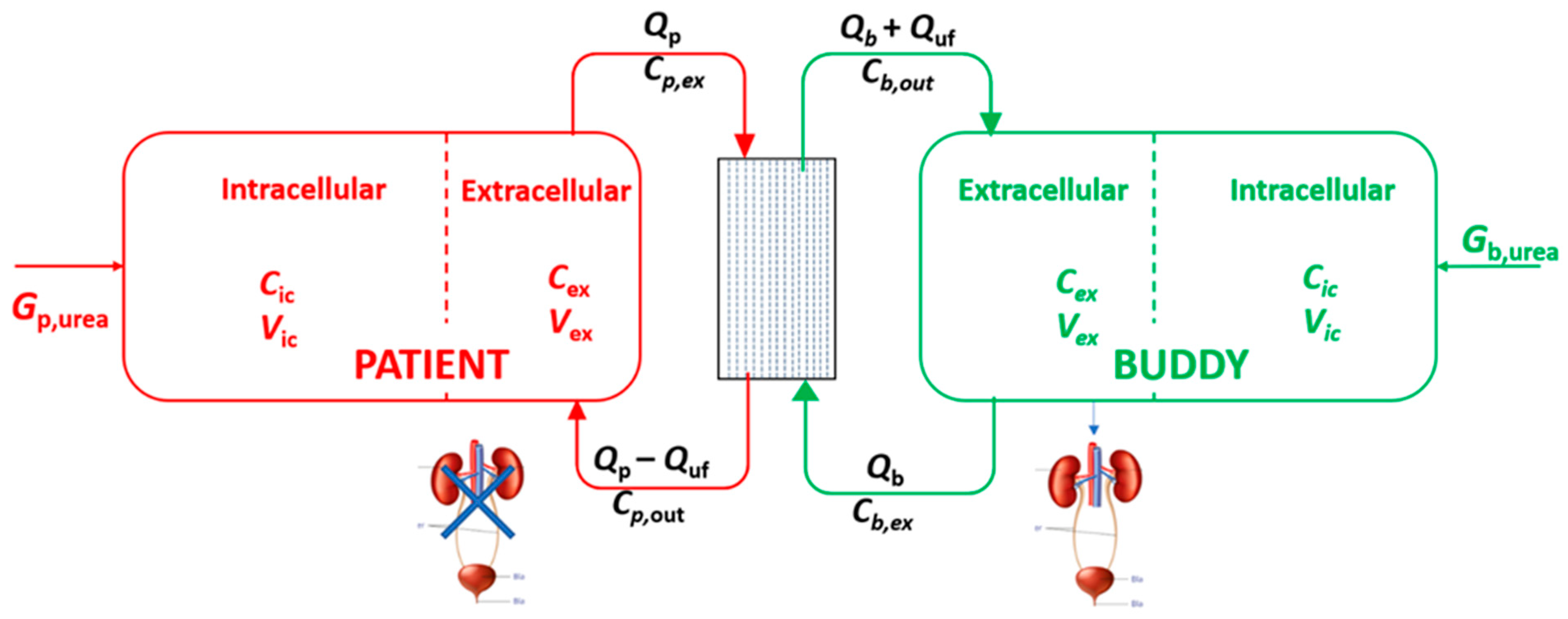 Toxins 16 00292 g001