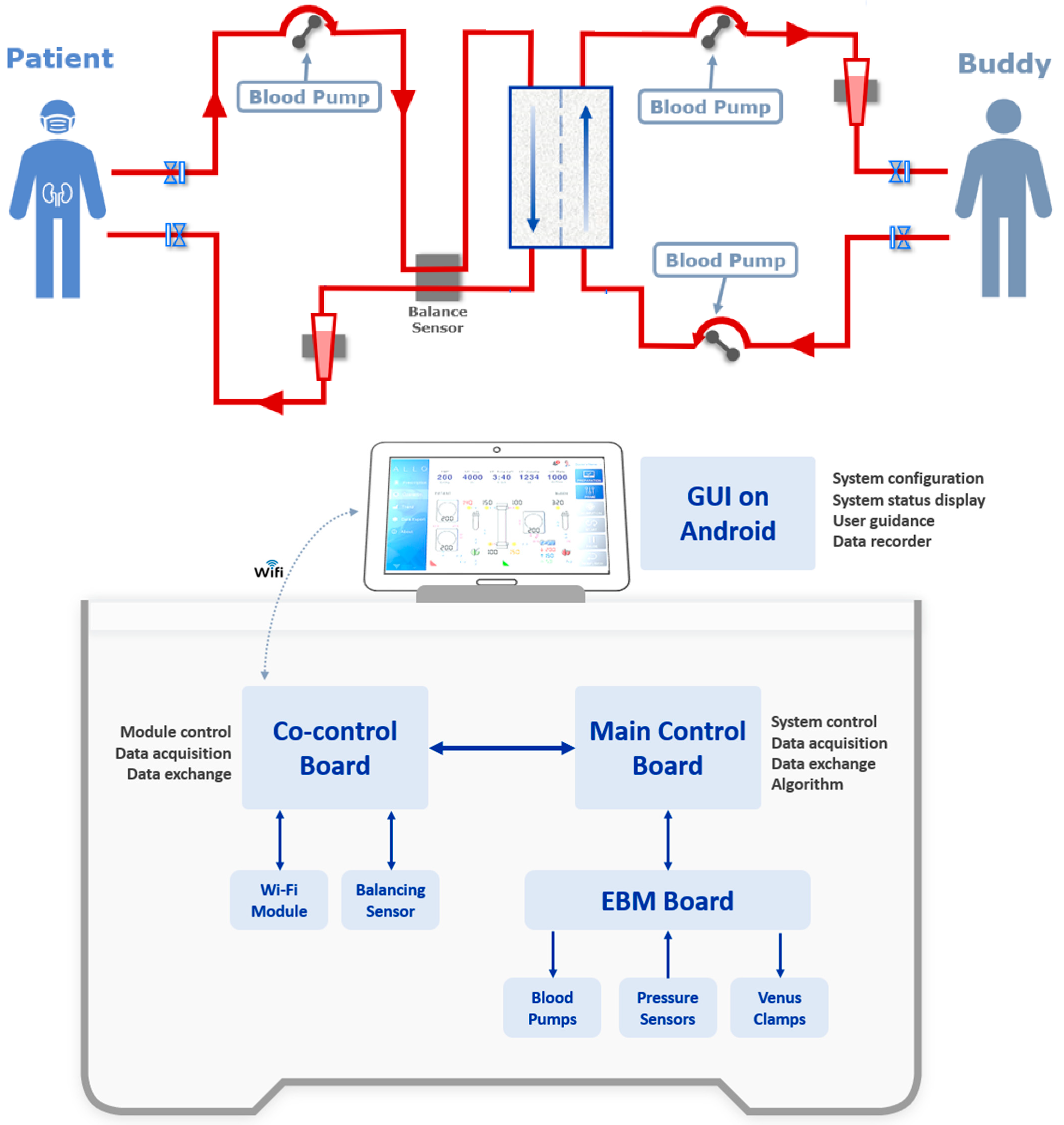 Toxins 16 00292 g004