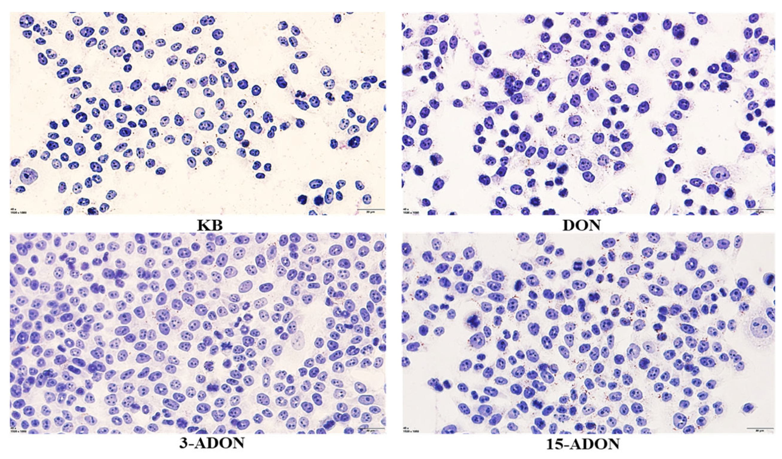 Toxins 16 00294 g002
