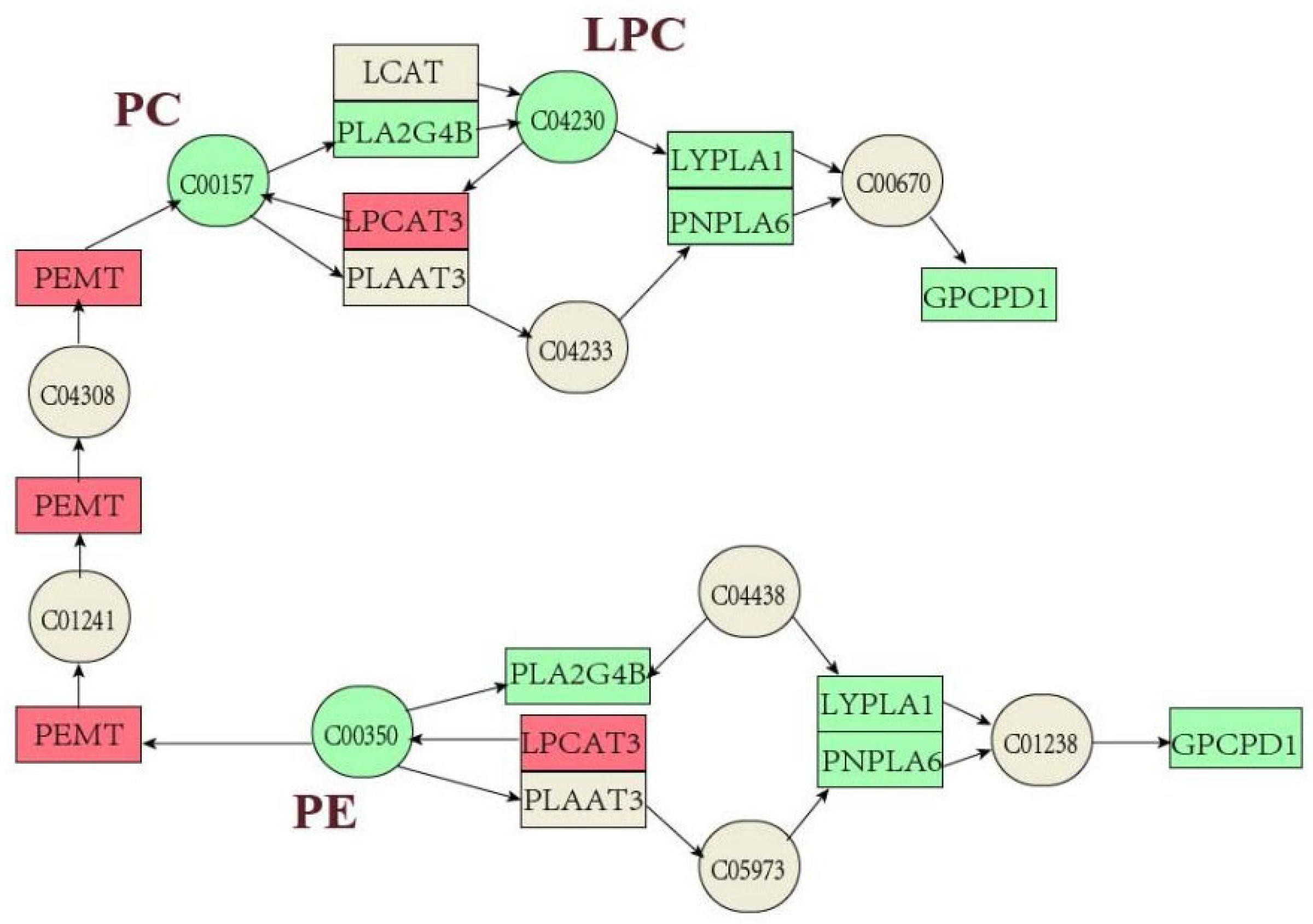 Toxins 16 00294 g009