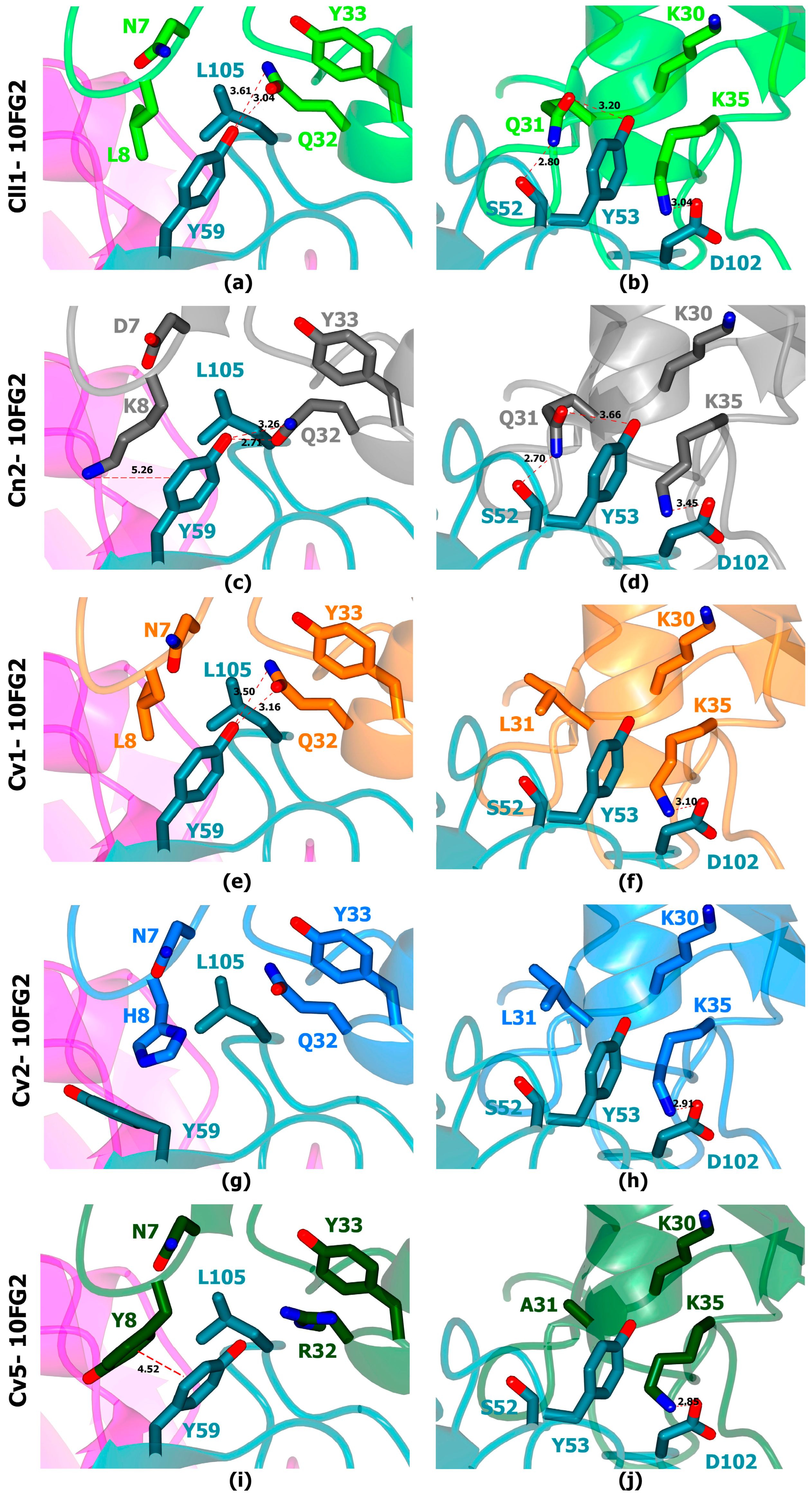 Toxins 16 00301 g006