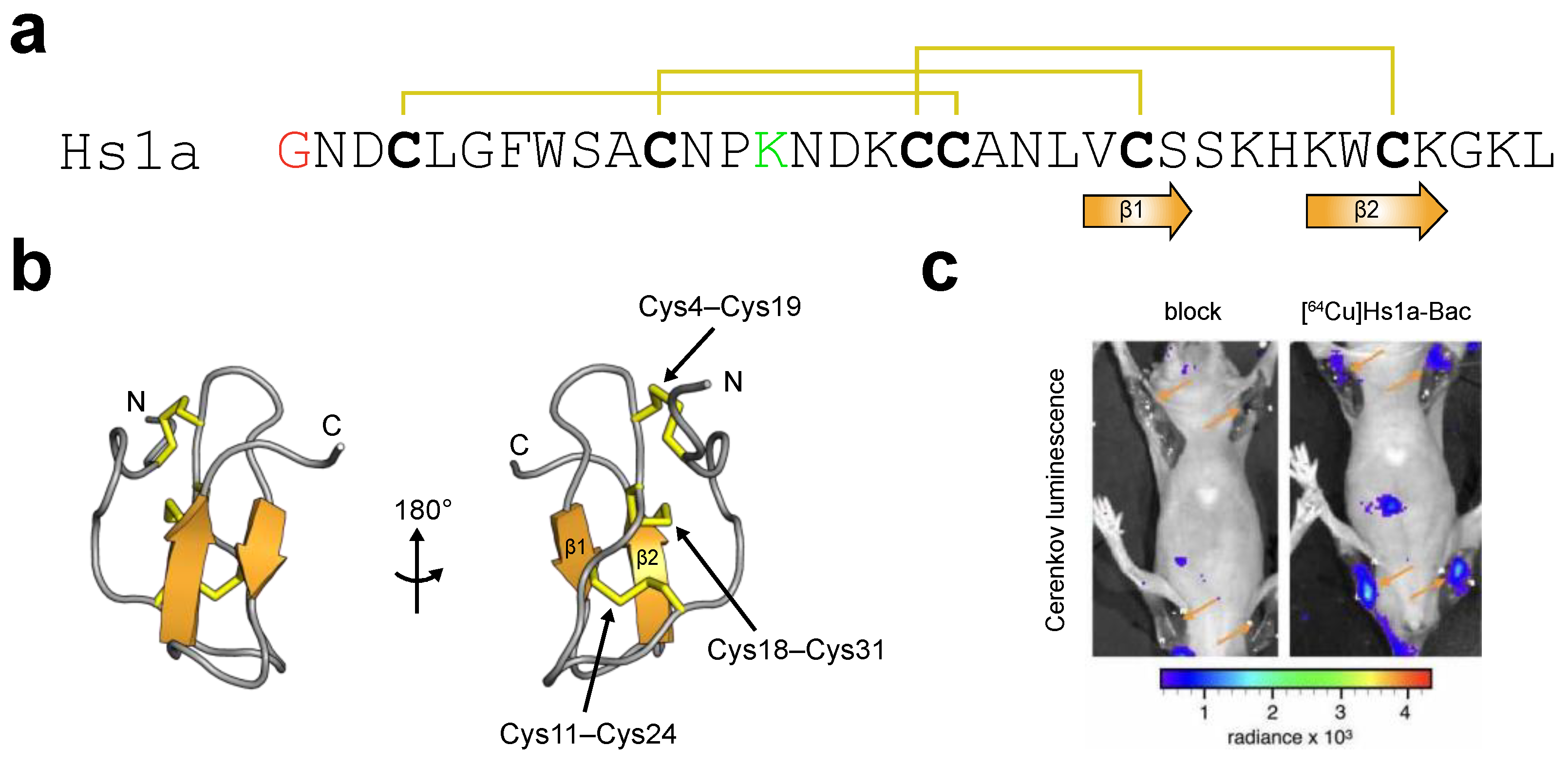 Toxins 16 00307 g005