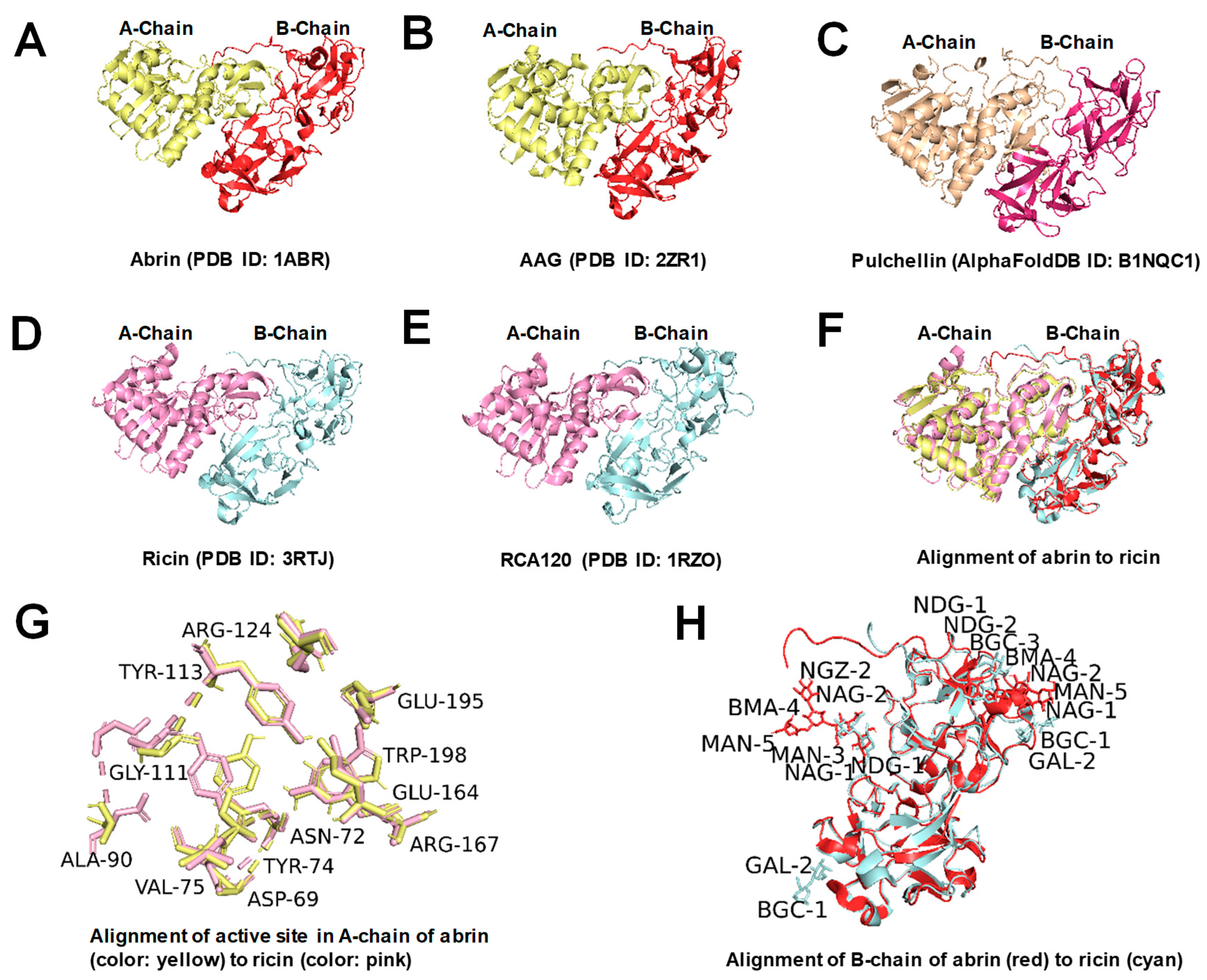 Toxins 16 00312 g001