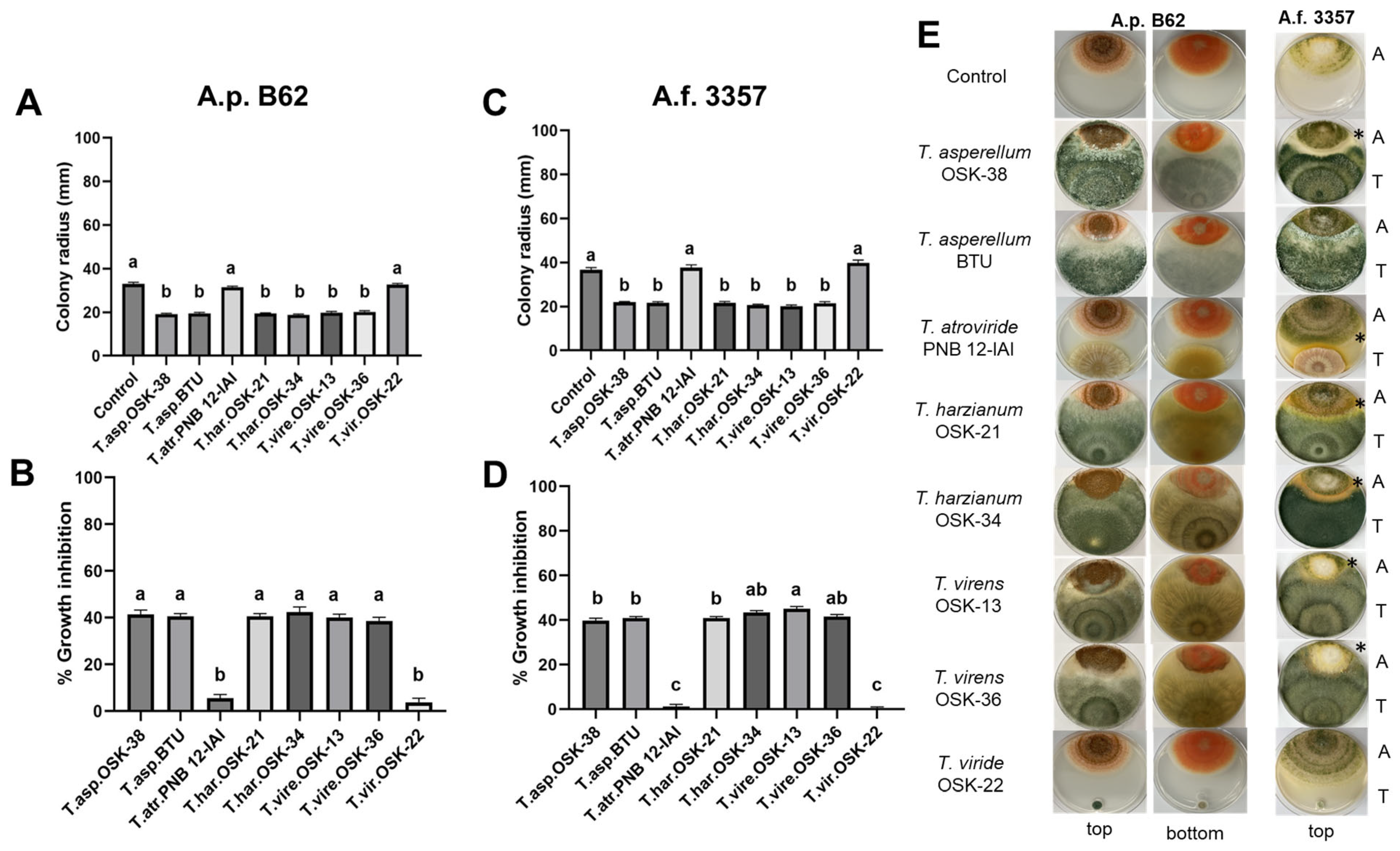 Toxins 16 00314 g002