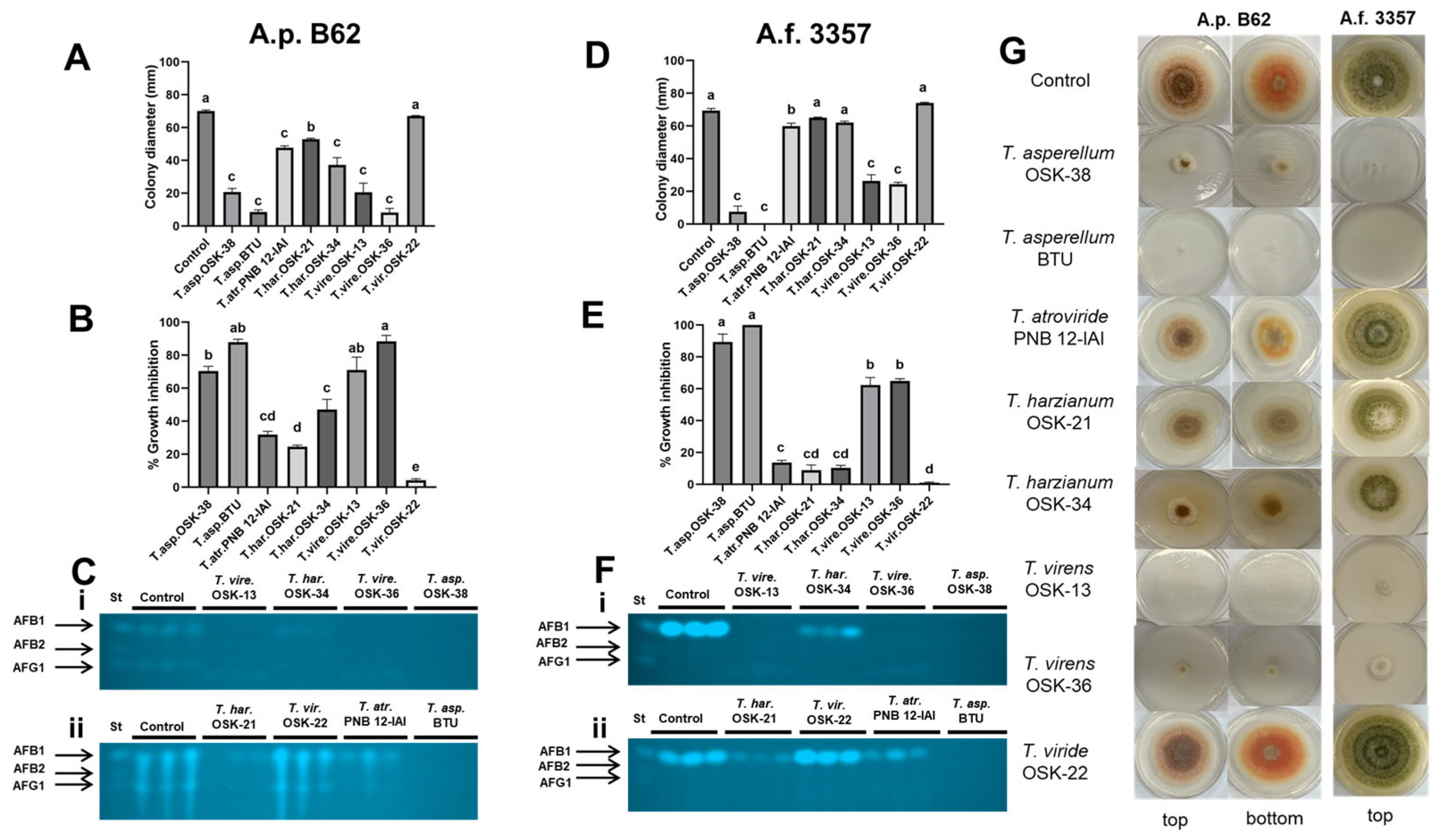 Toxins 16 00314 g004