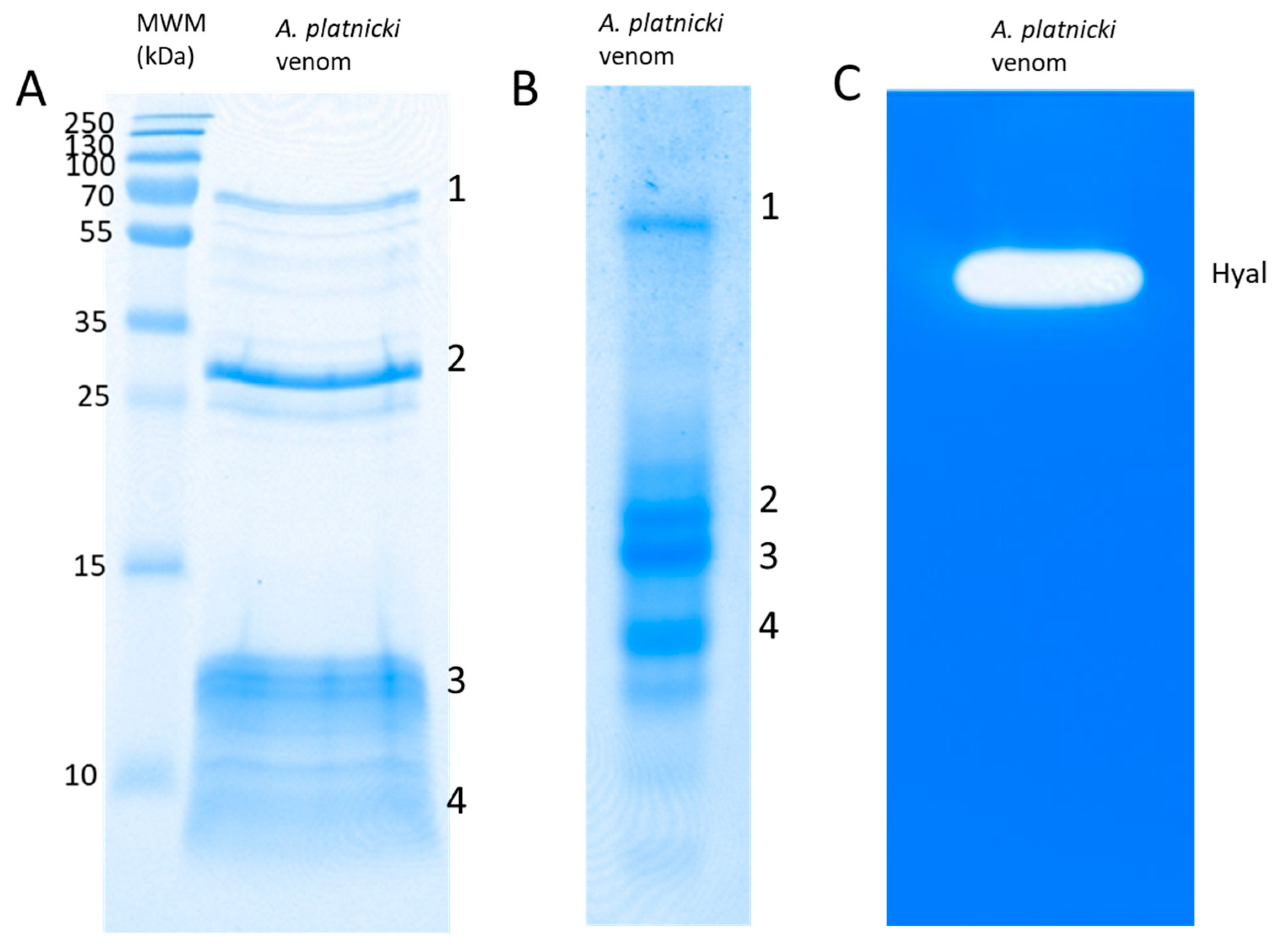 Toxins 16 00327 g002