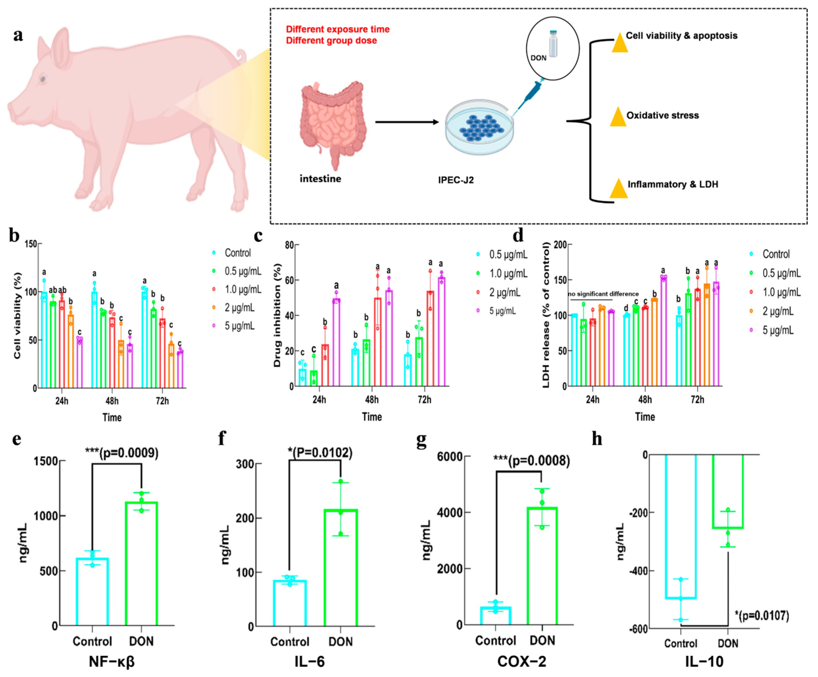 Toxins 16 00353 g002