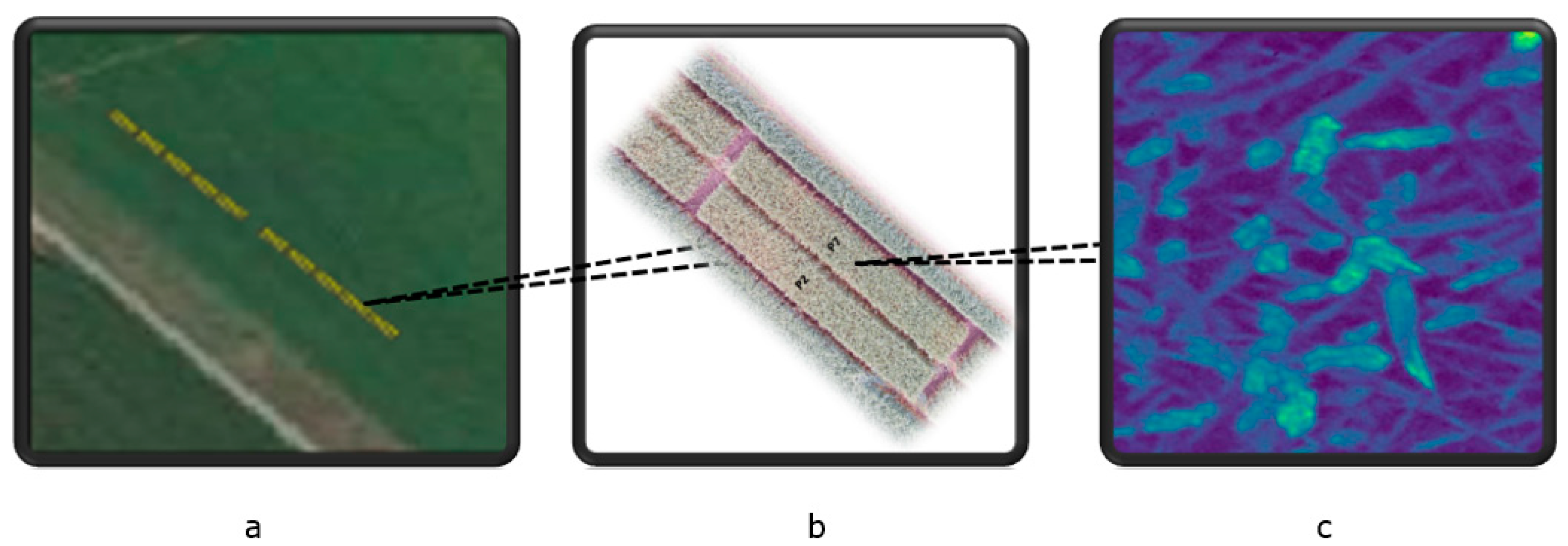 Toxins 16 00354 g005