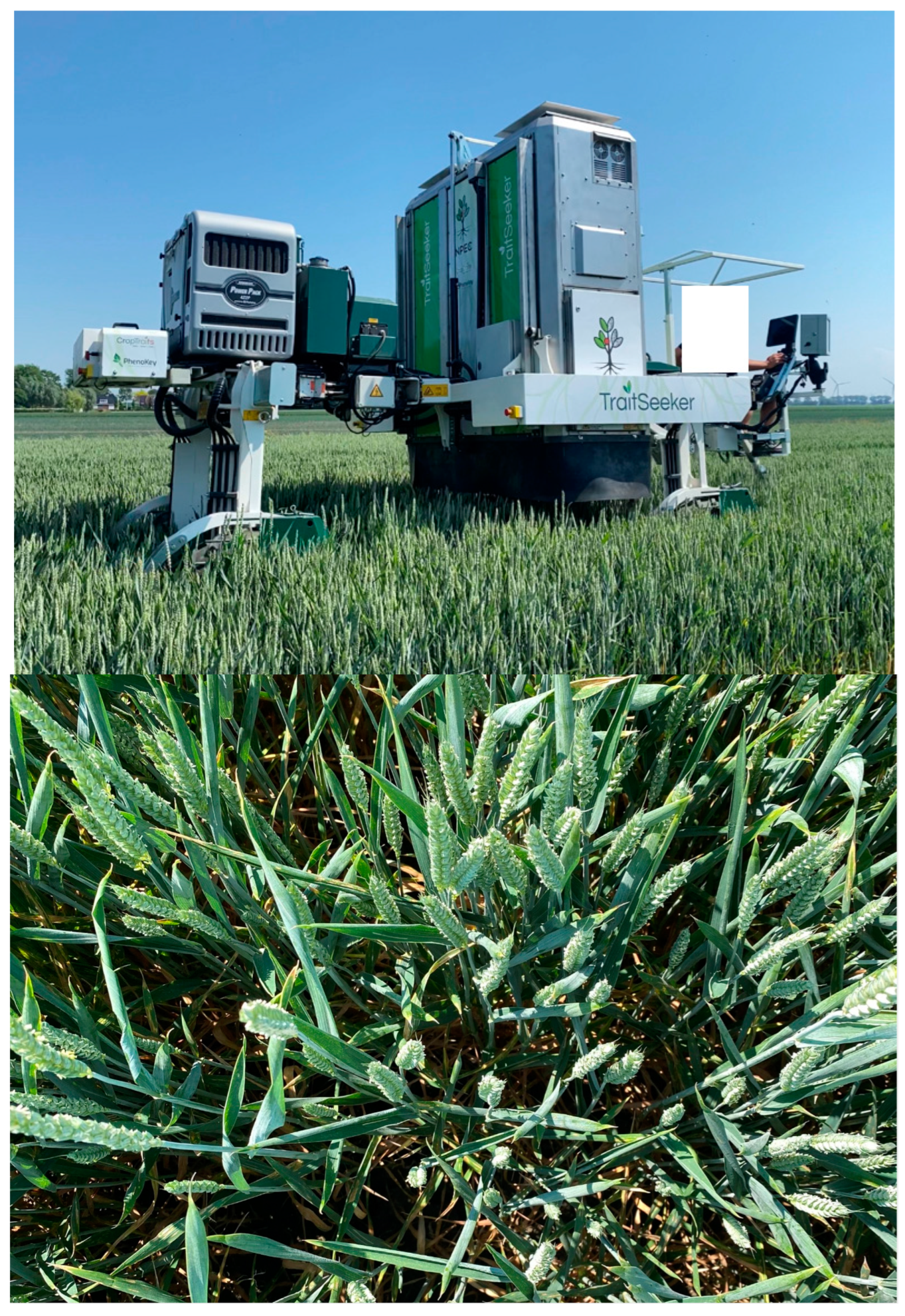 Toxins 16 00354 g0a4